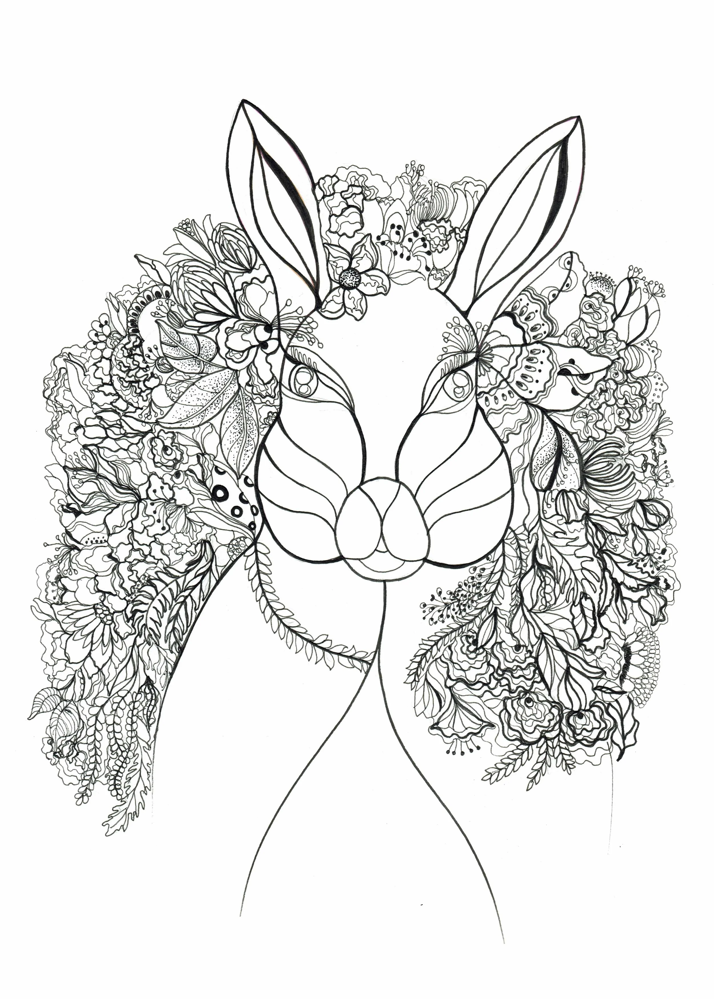 Rabbit 1.jpg
