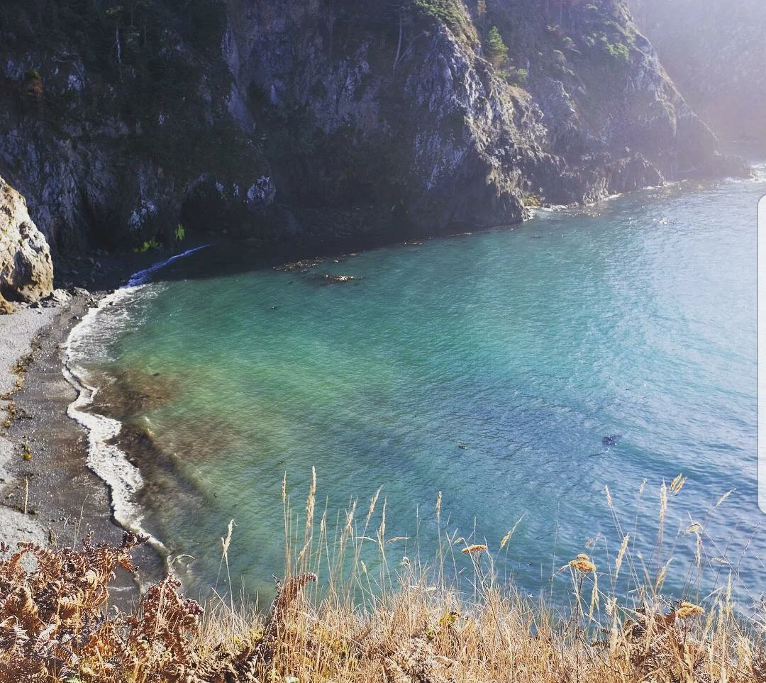 Mendocino6.jpg