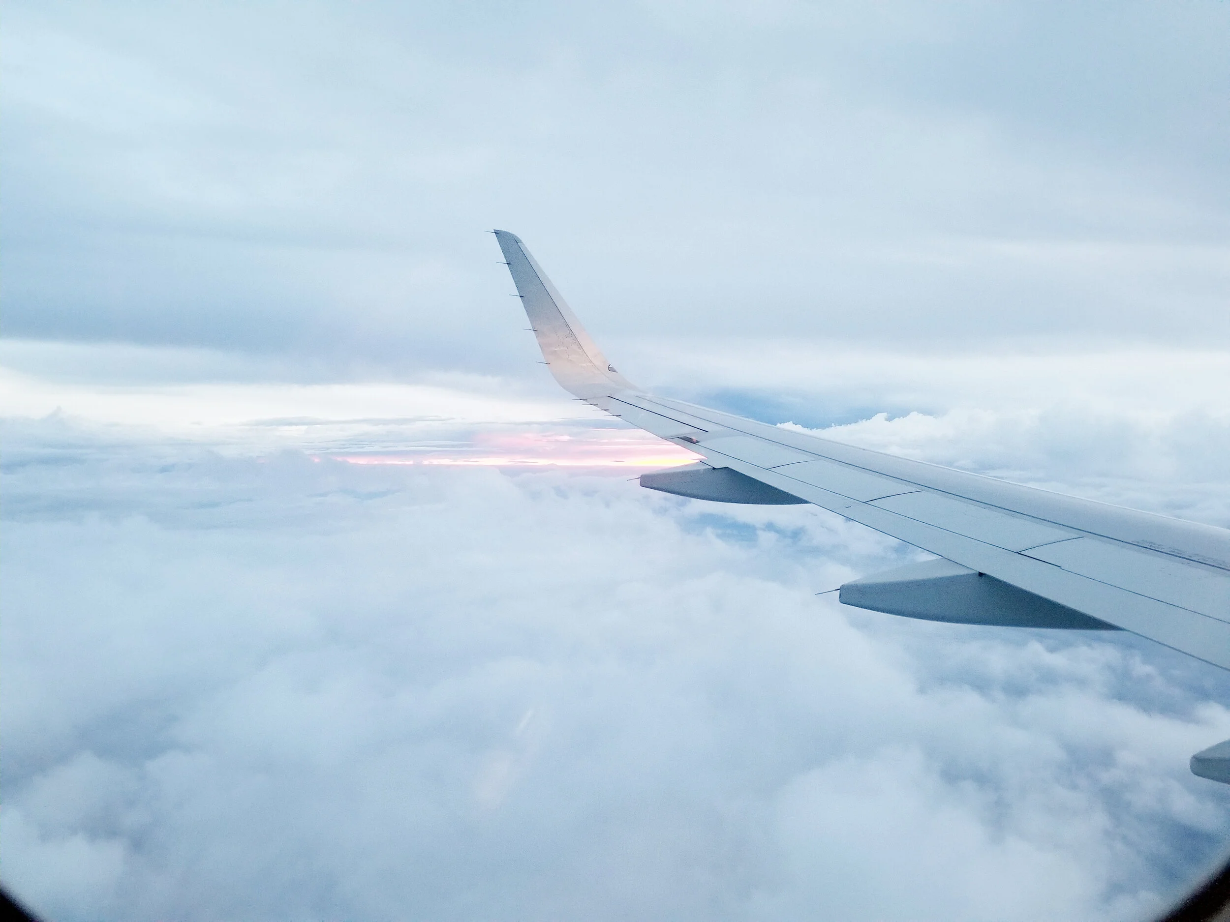 FlyawayIntotheSky.jpg