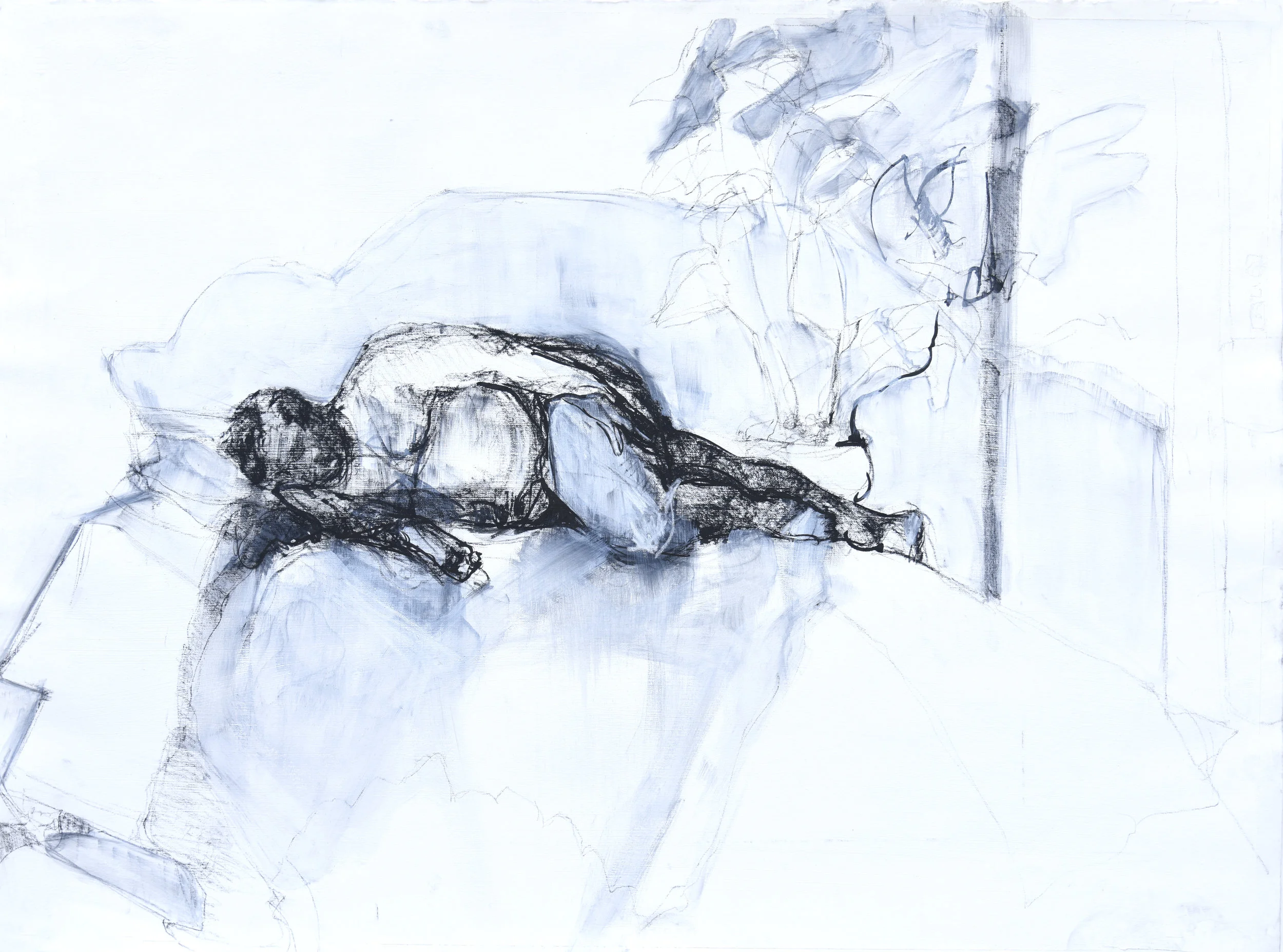  22”x30”, charcoal, gesso, and ink 