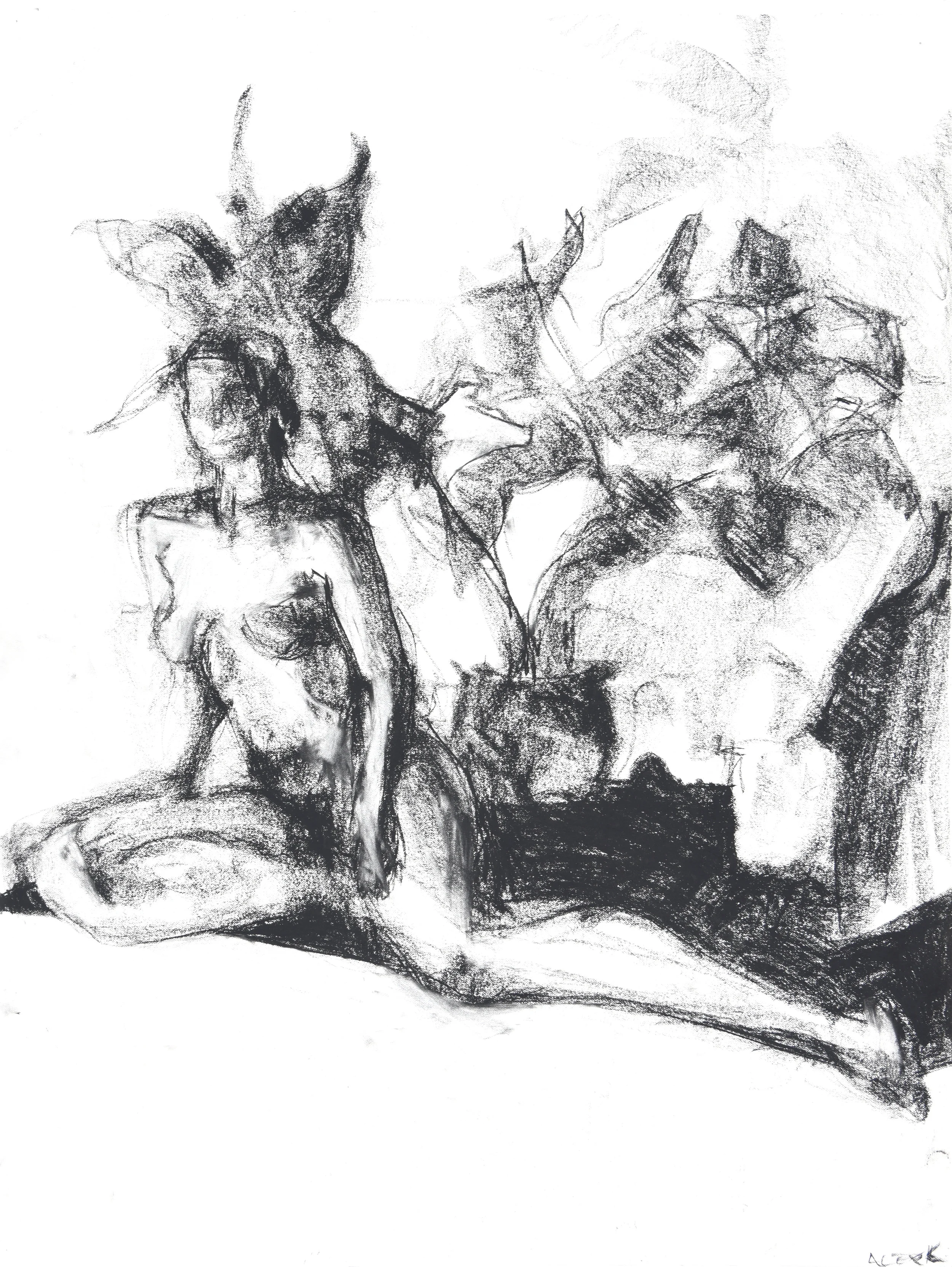  18”x24”, charcoal 