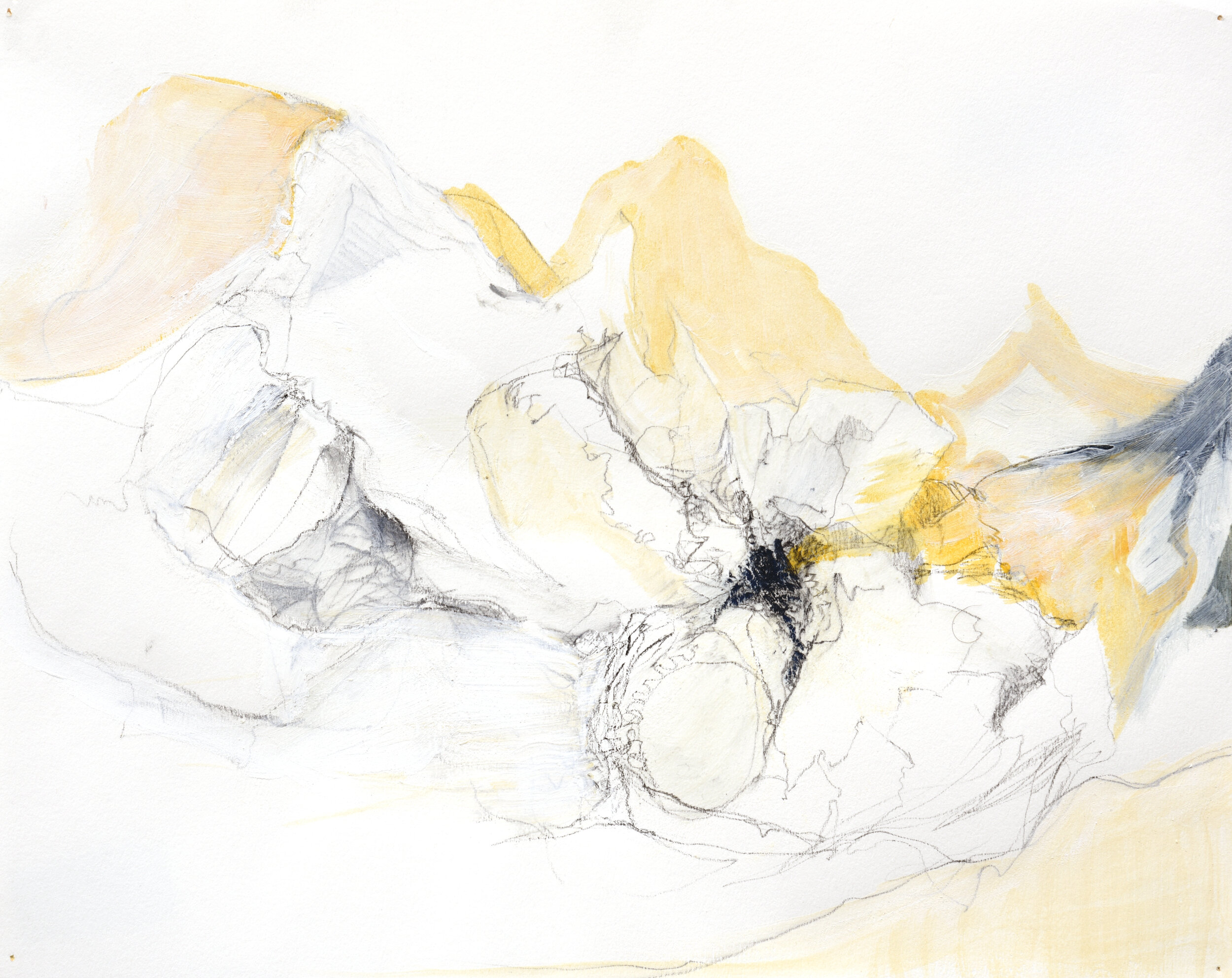 Garlic #6