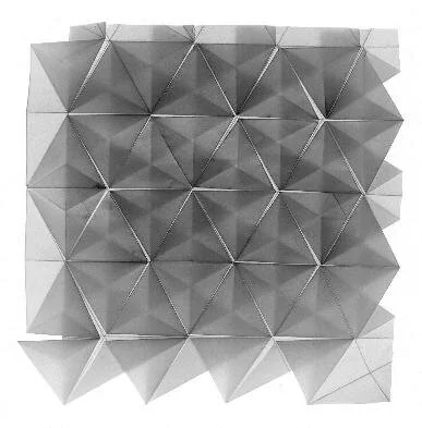 tesselation with film2.jpg
