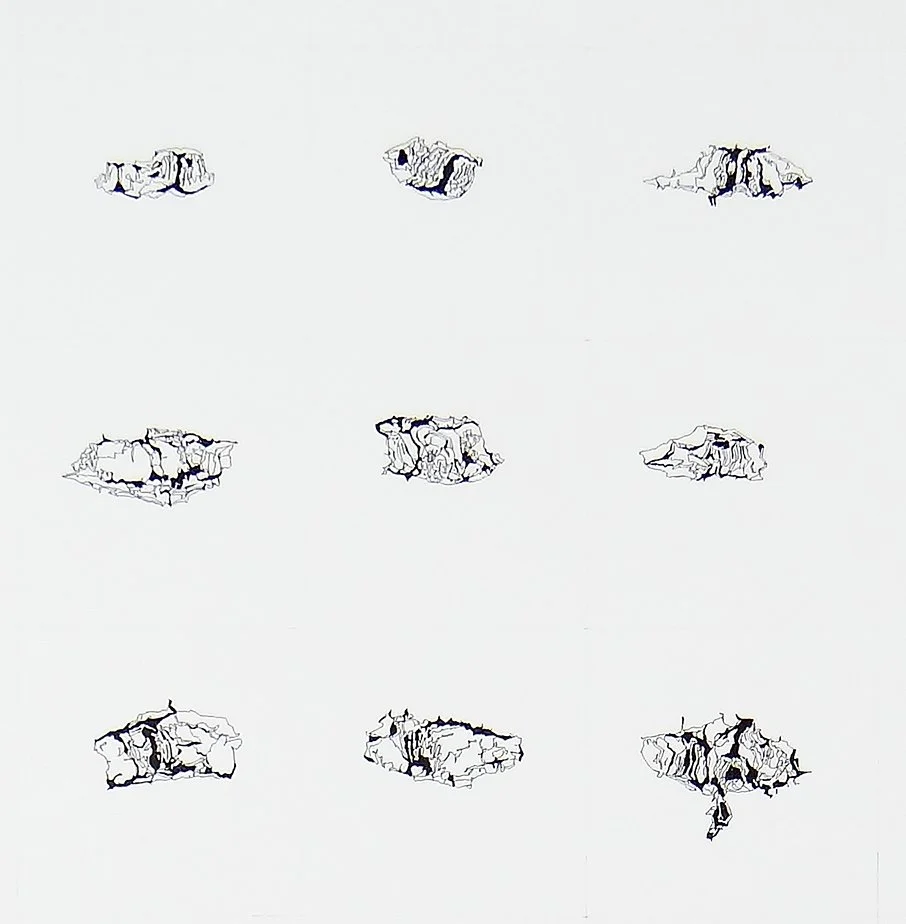 Components_Lenticels Birch_22x30 detail.jpg