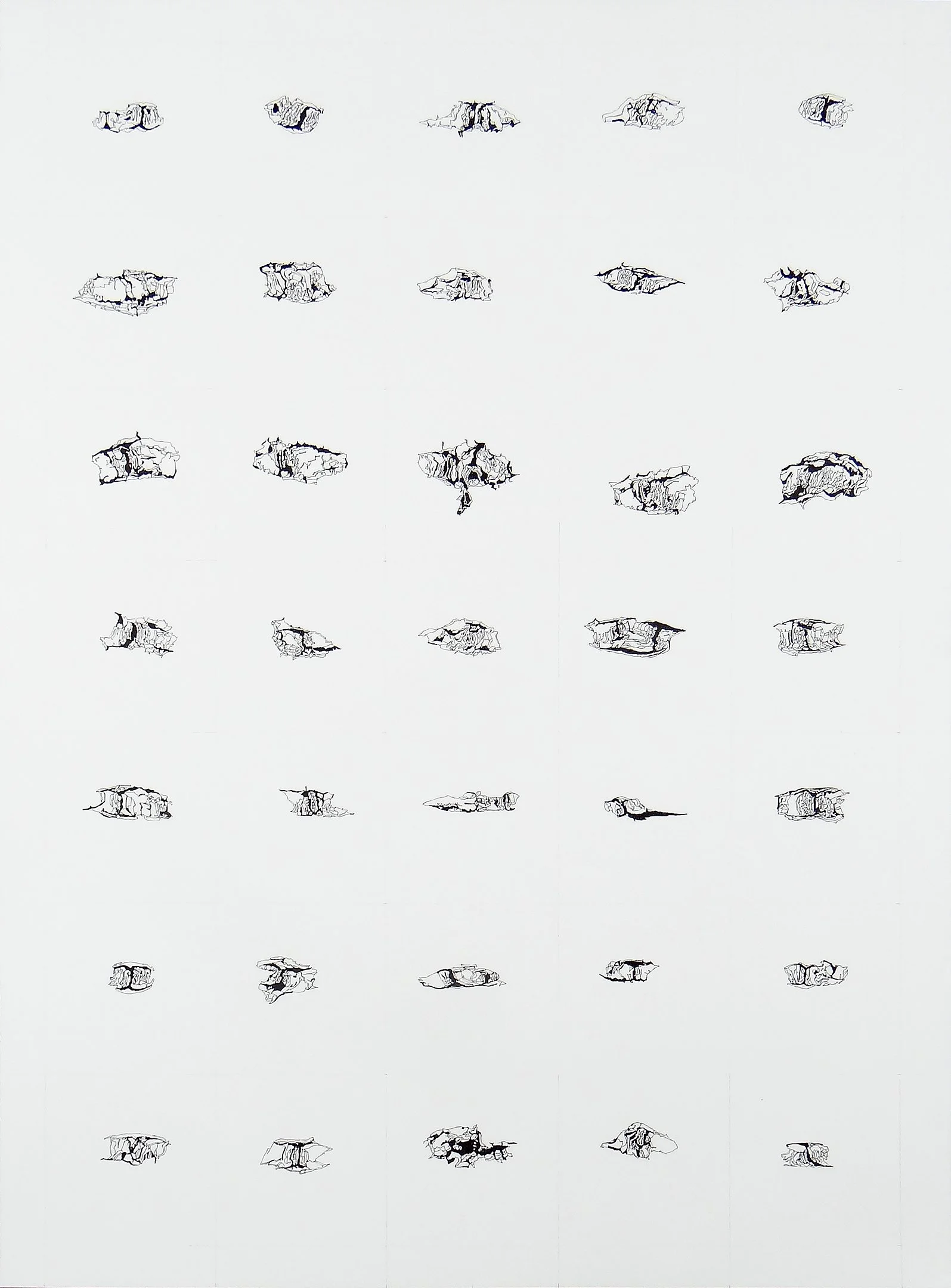 Components_Lenticels Birch_22x30.jpg