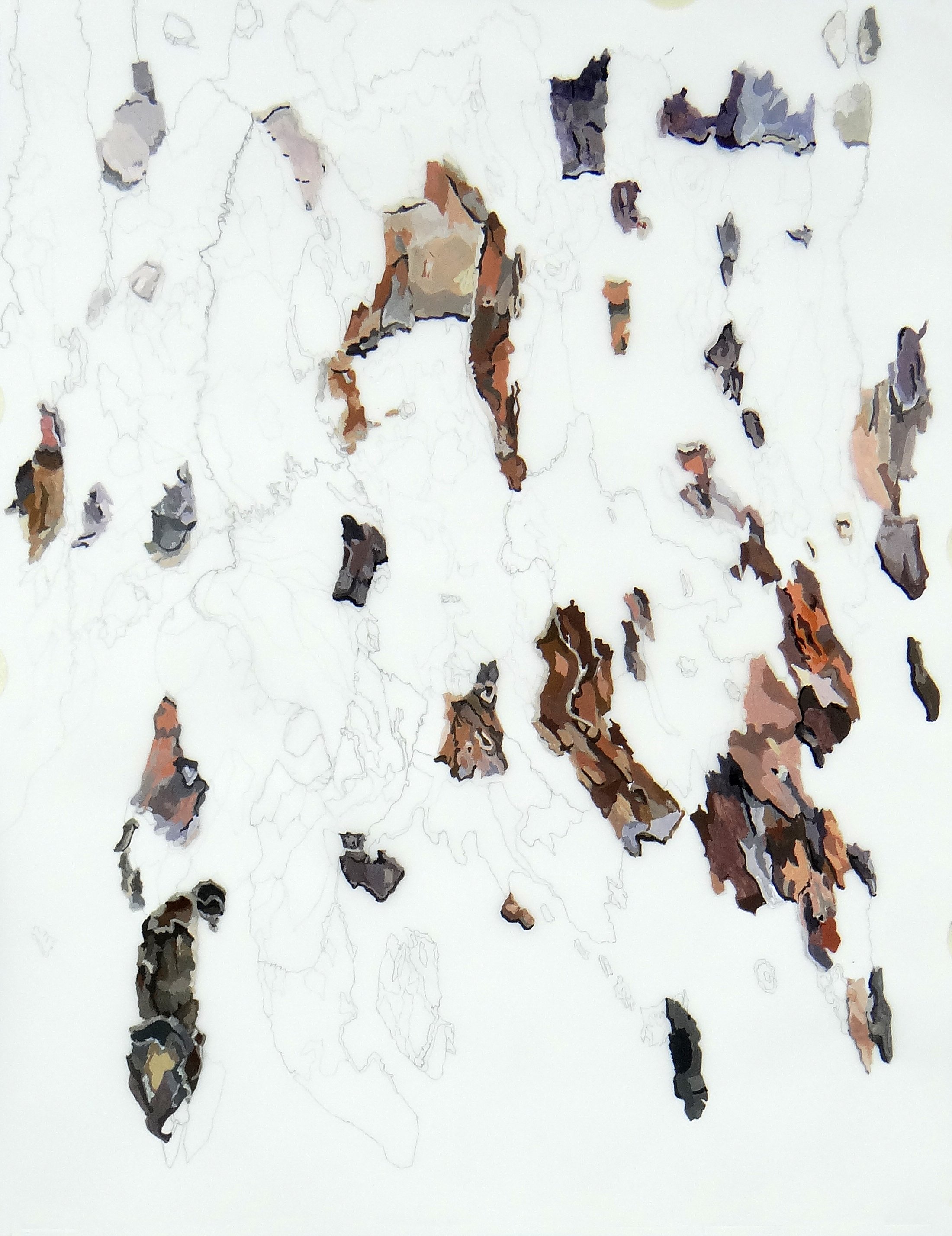Plane Tree Bark .jpg