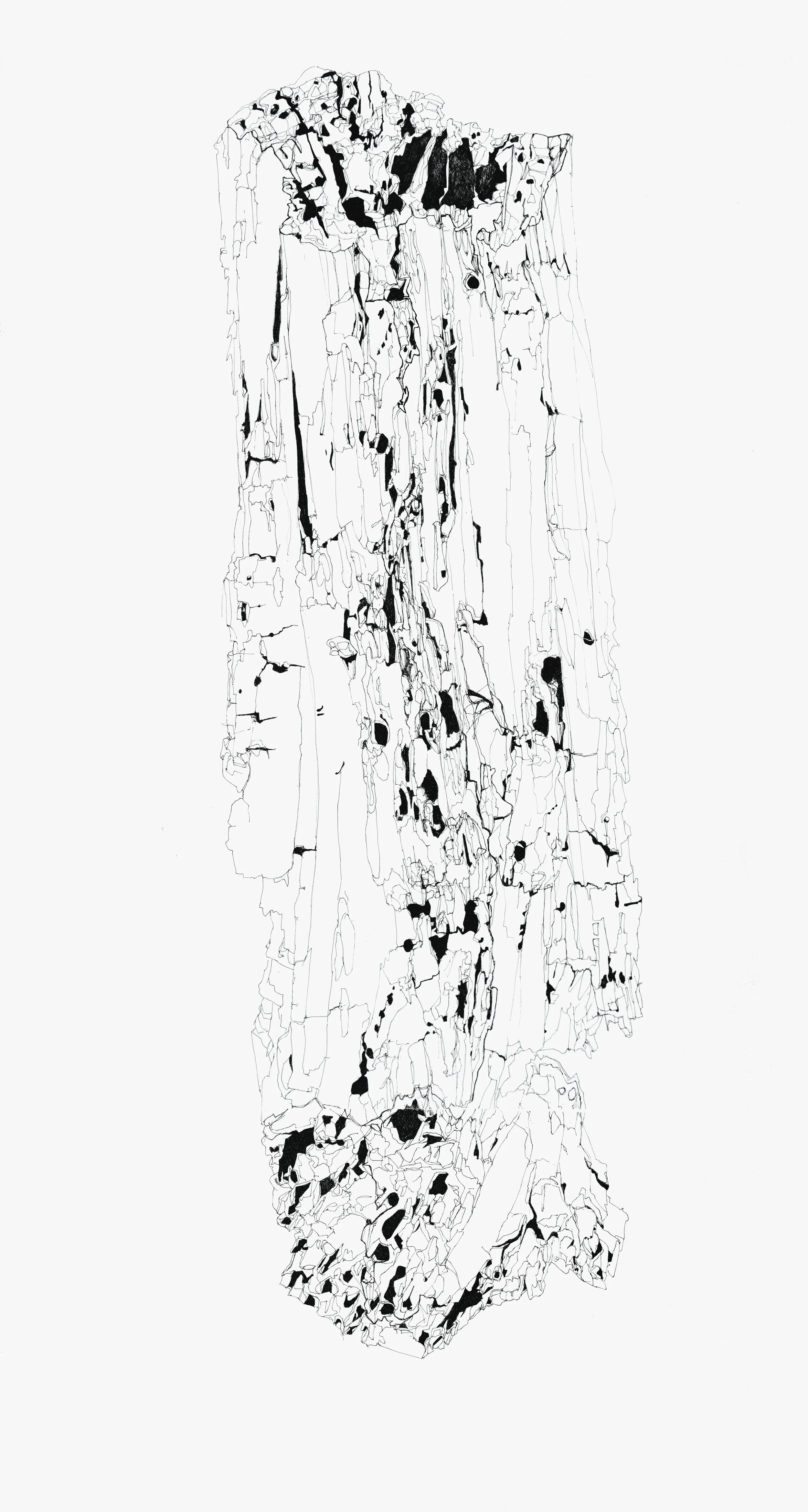 Decomposing Mass_ Projected