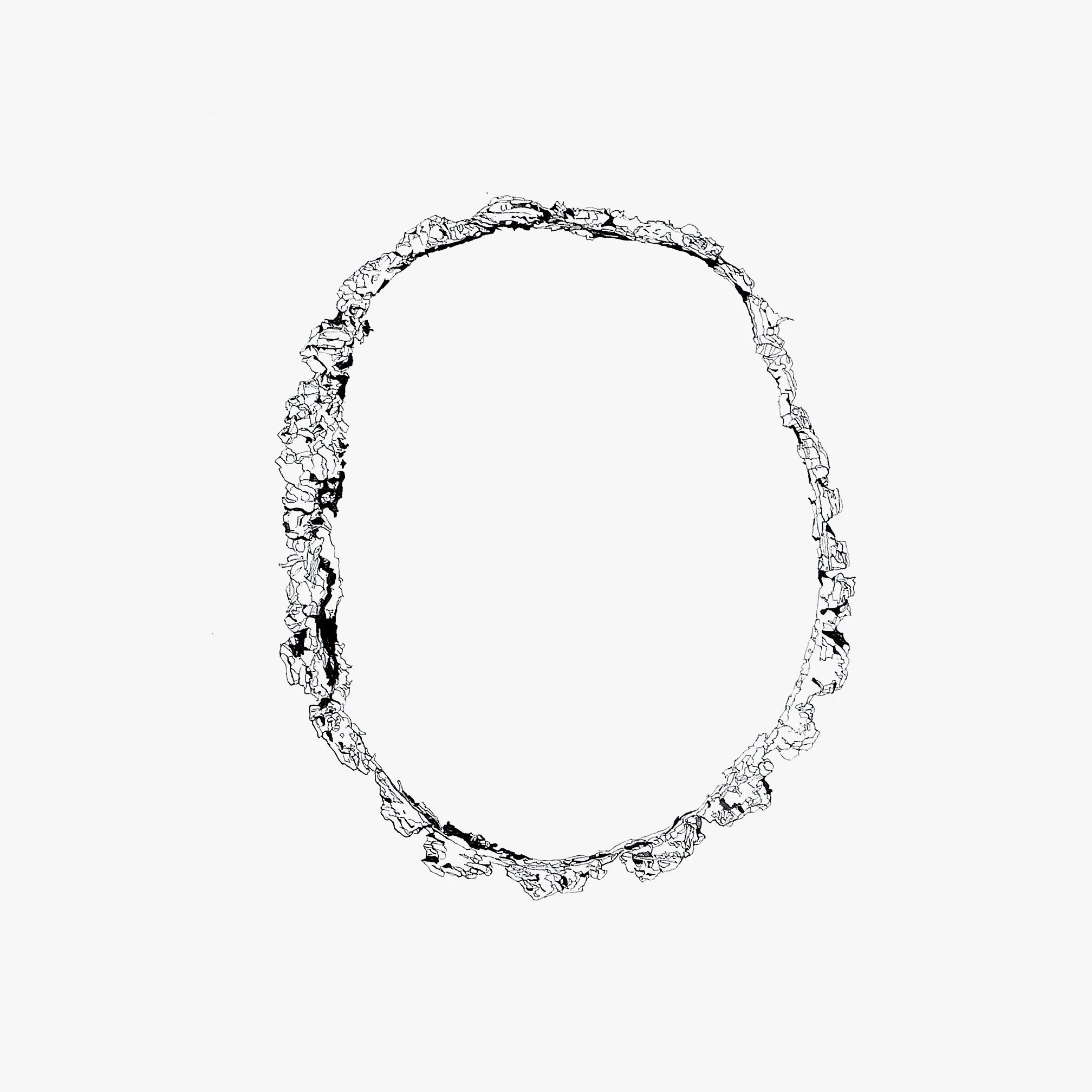 Surface. Bark_Cross Section #3