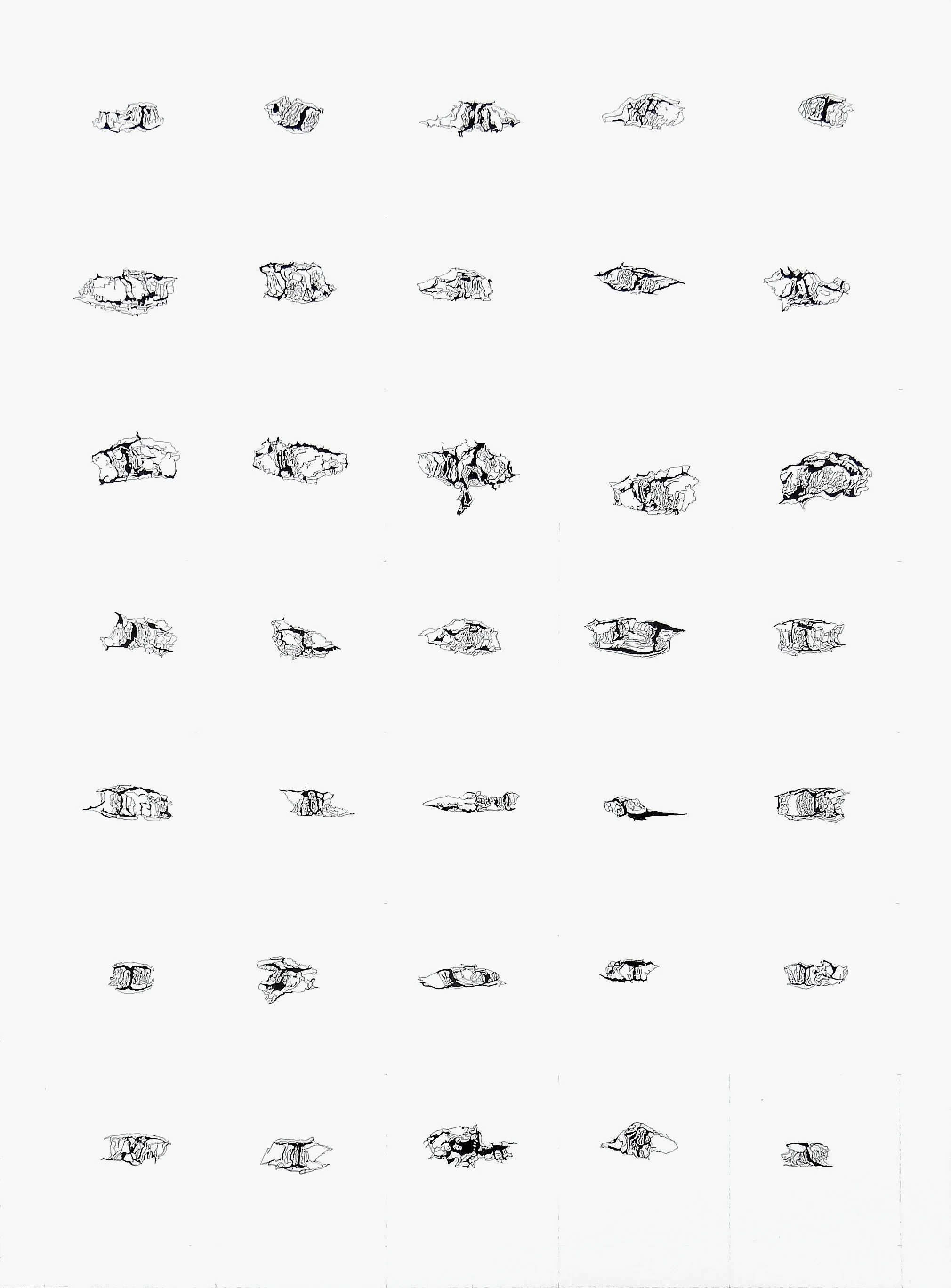 Components. Lenticels_Birch #1
