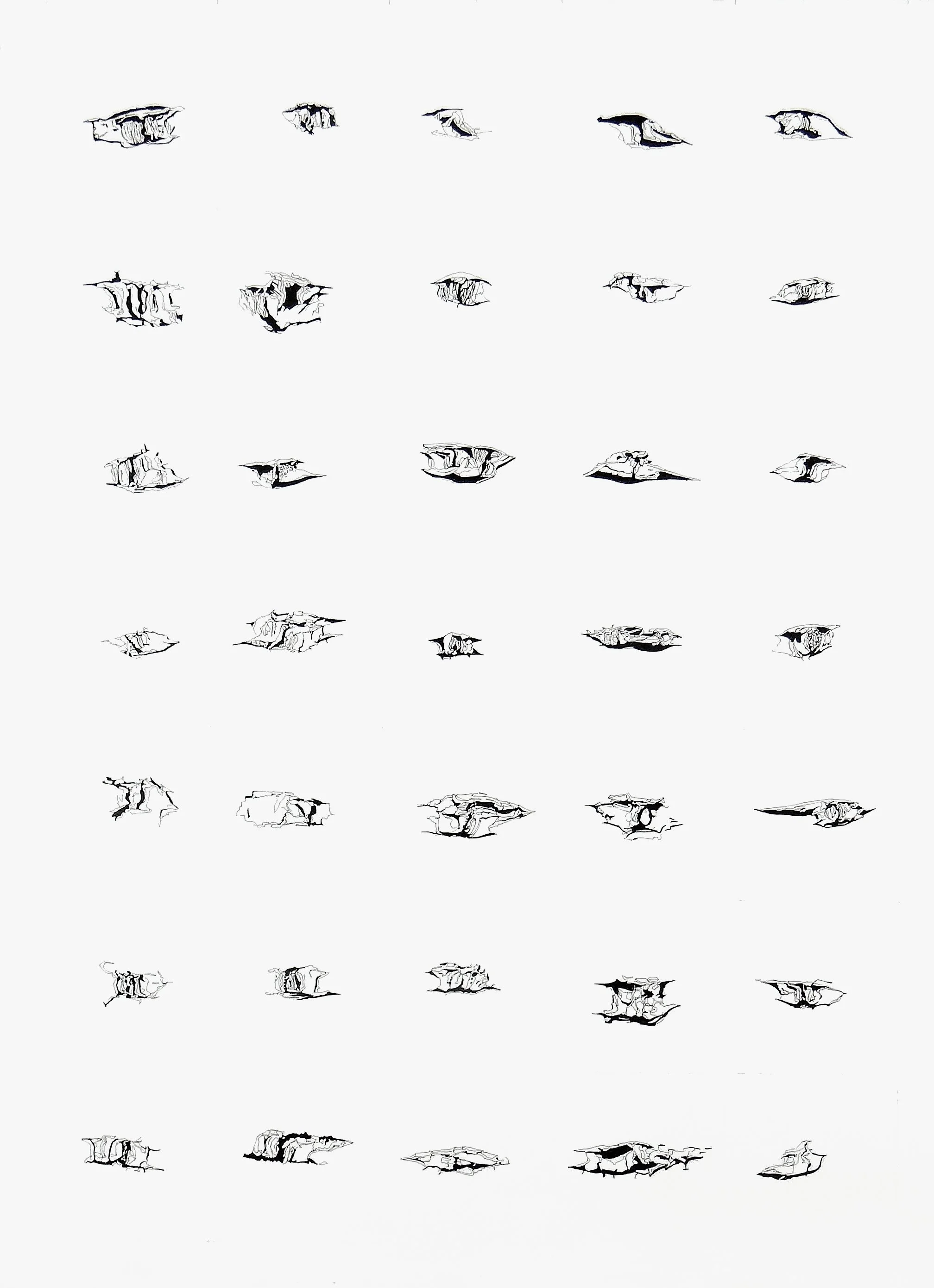 Components. Lenticels_Birch #2