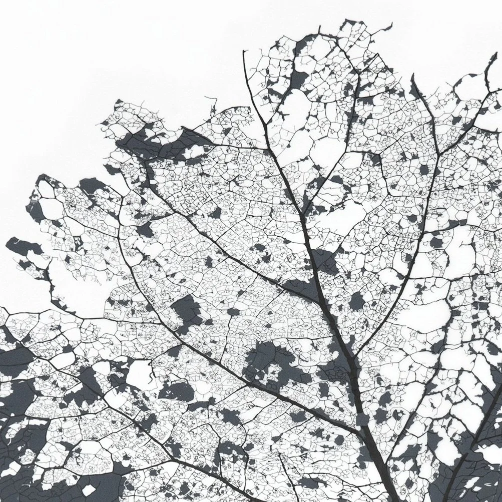 Aspen+Leaf+26x40.jpg