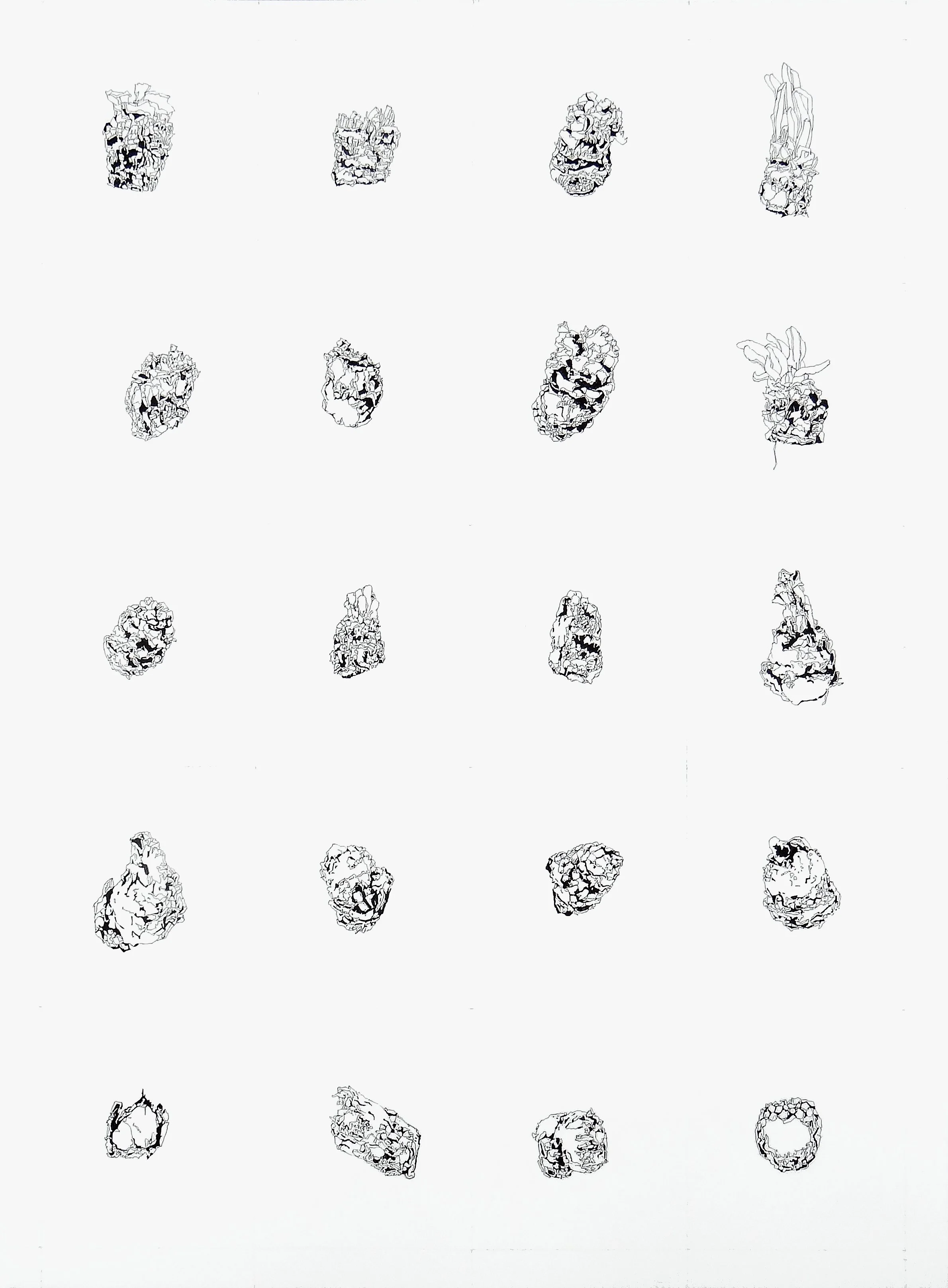 Components_Buds Tamarack 22x30 .jpg