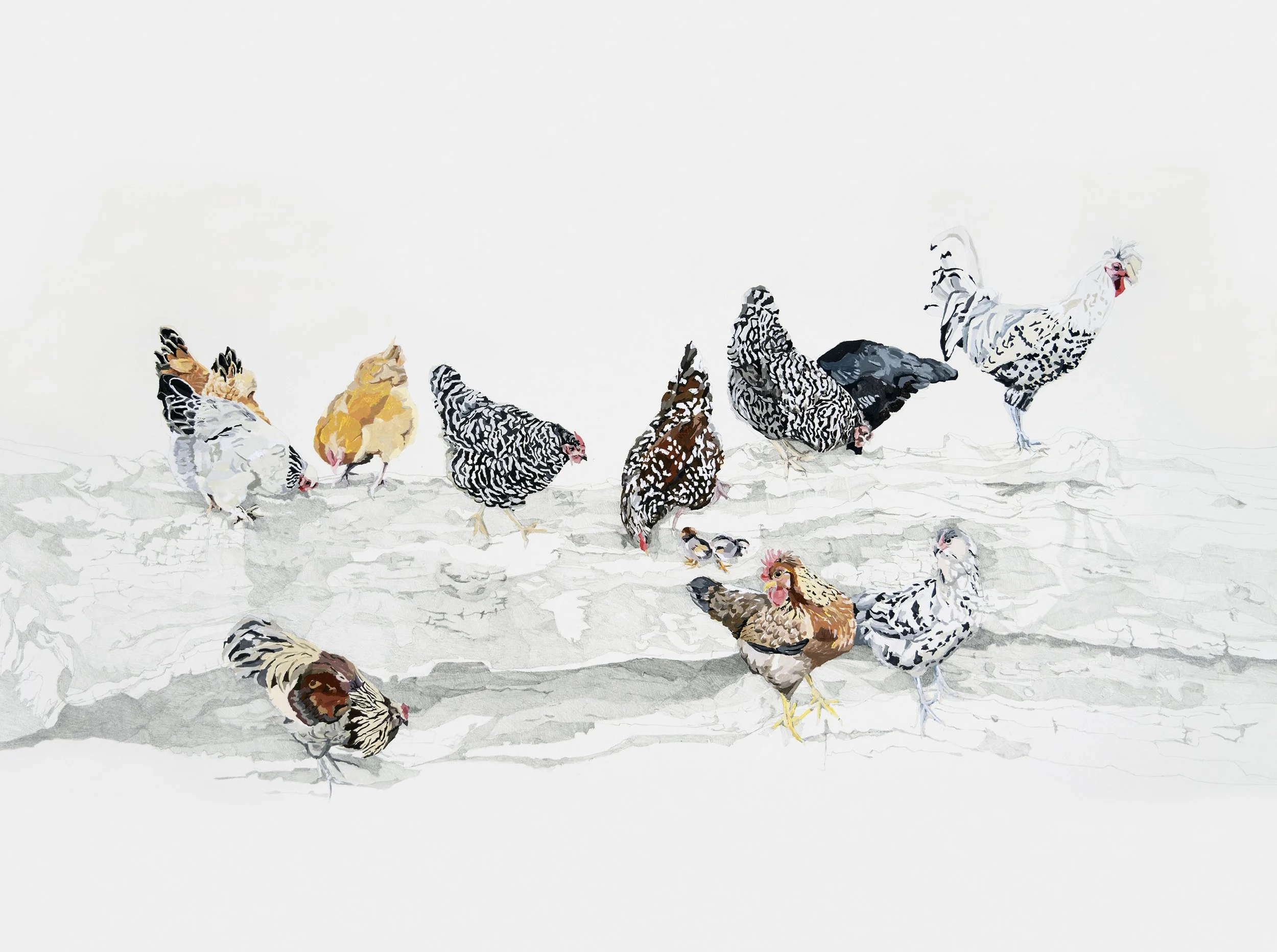 Aubes Flock_color correction.jpg