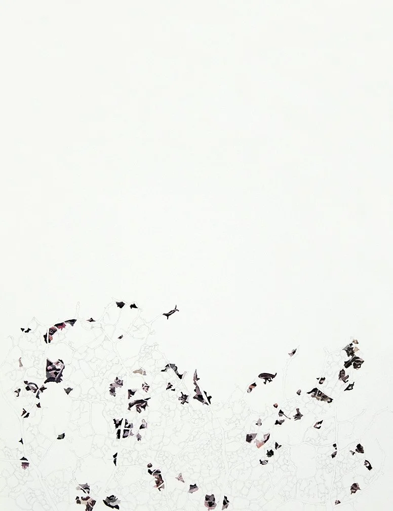 Leaf Remnants 1_11x14.jpg
