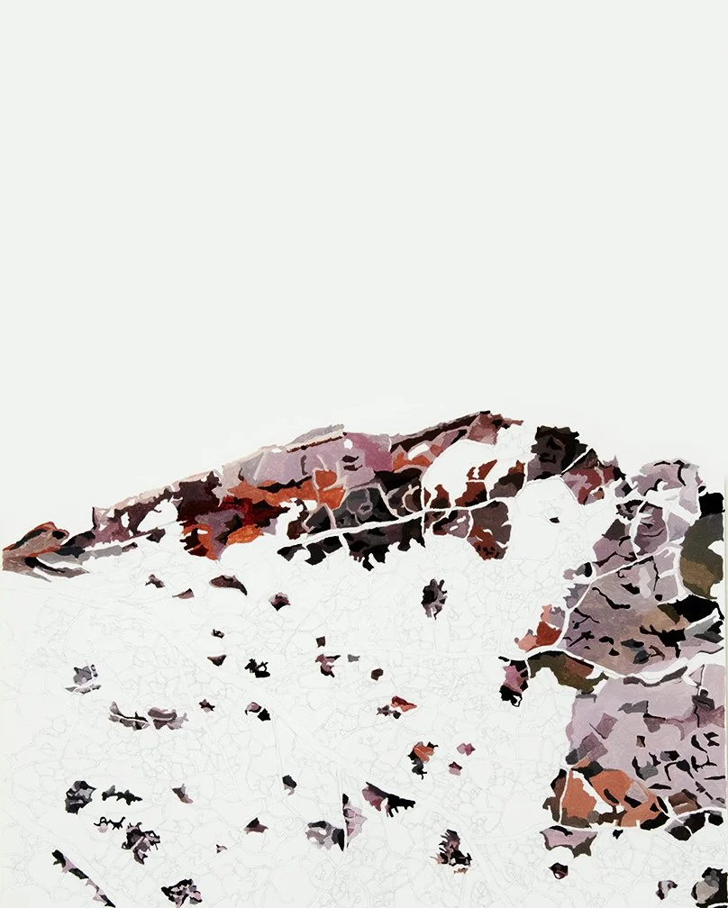 Leaf Remnants 2_11x14.jpg