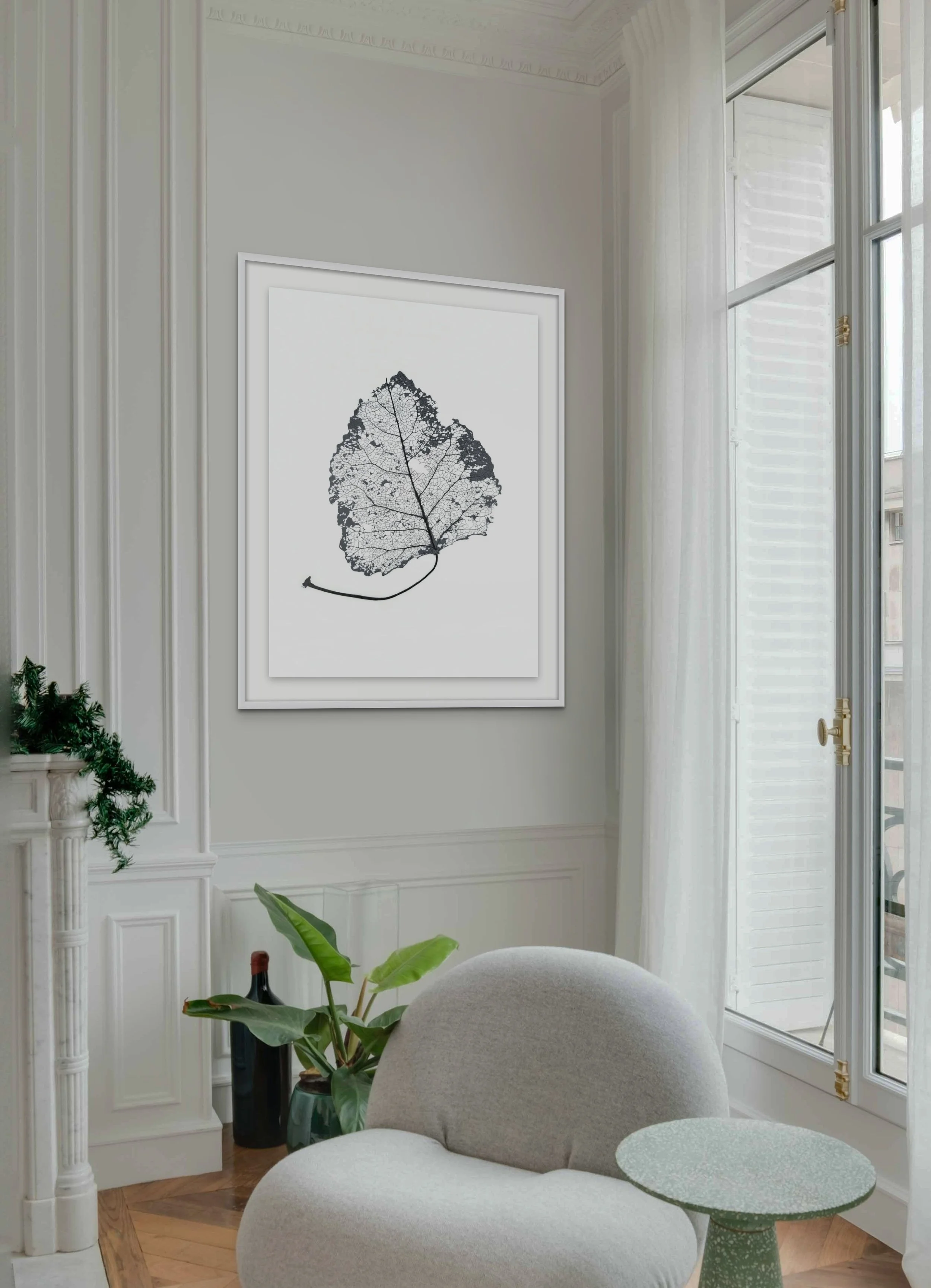 balsam_poplar_leaf_skeleton (1) ROOM PLACEMENT.jpg