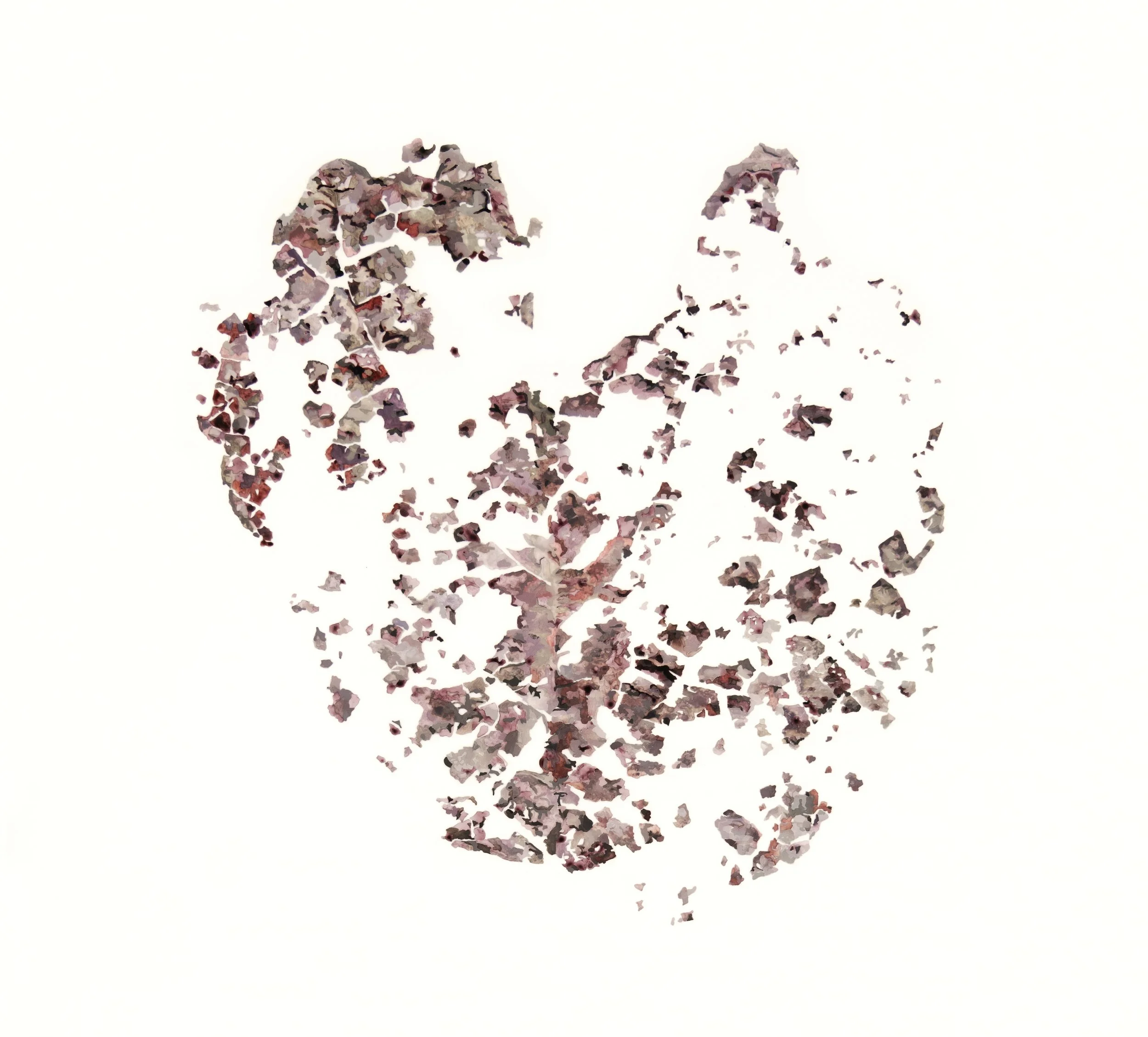 Fragmentation #2