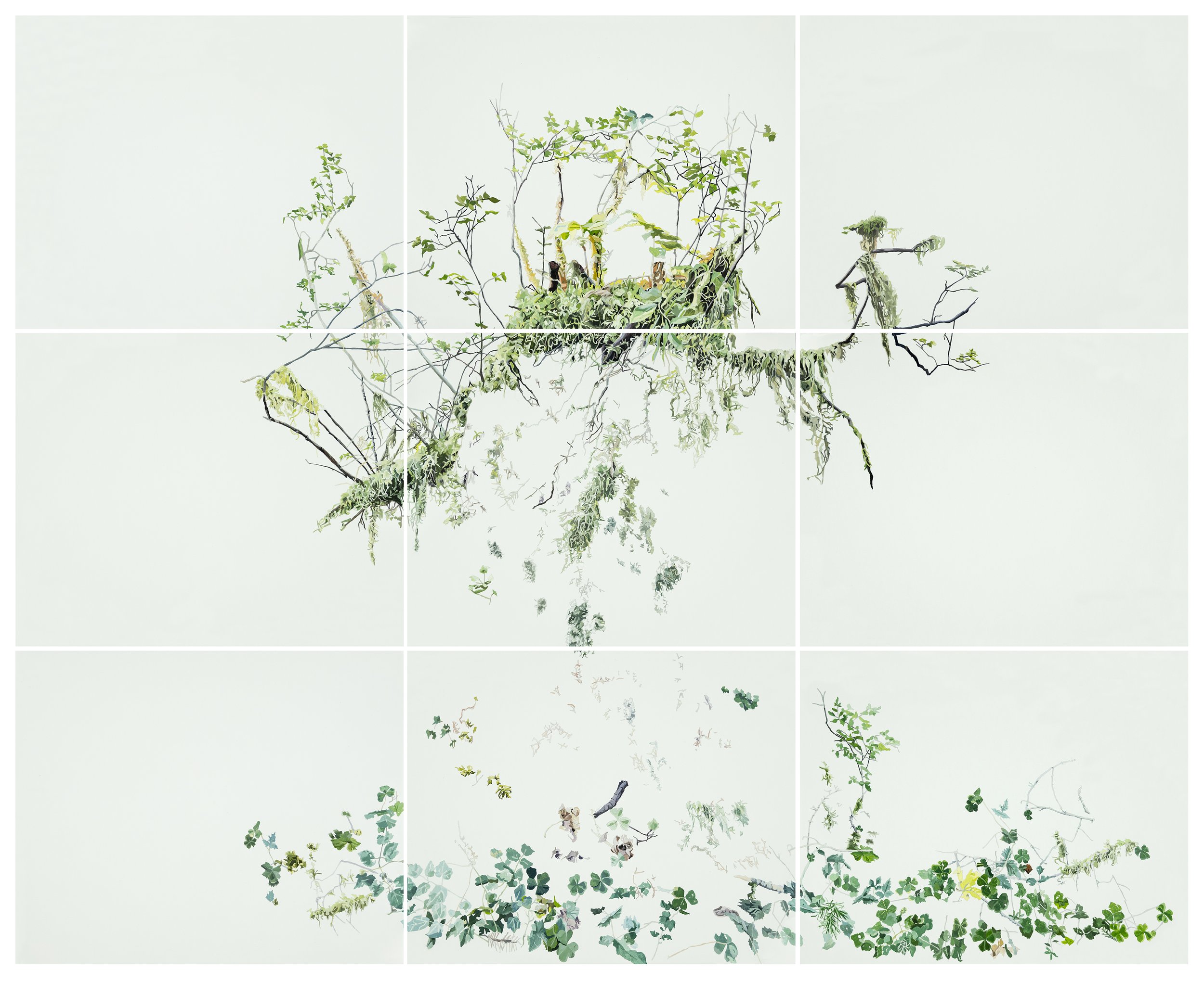 Nurselog_Growth-colour.jpg