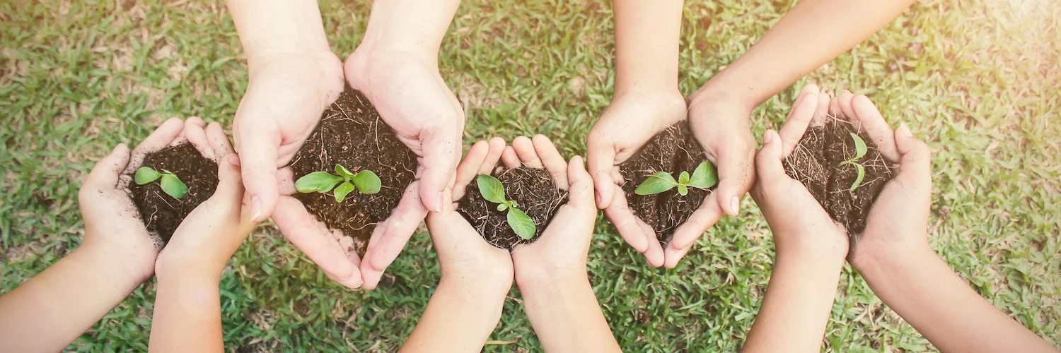 Family_hands_plants-min.jpeg