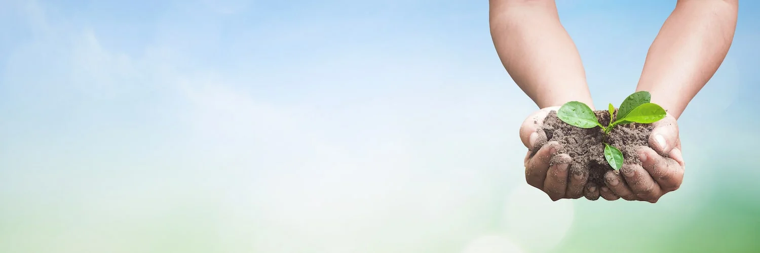 child_hands_seedling-min.jpeg