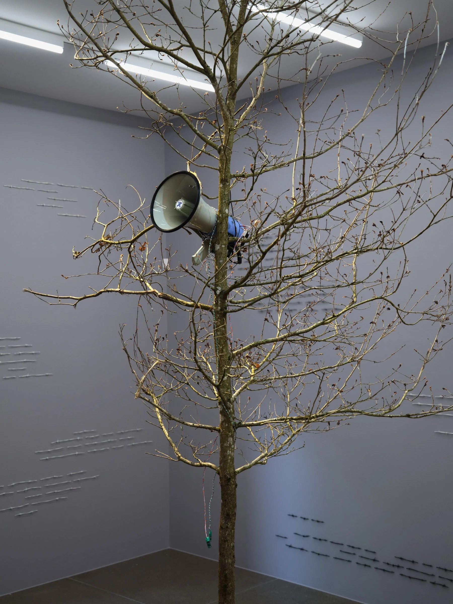 Ishita Chakraborty_Manor Kunstpreis 2024_Exhibition_Low-Res-17.jpg