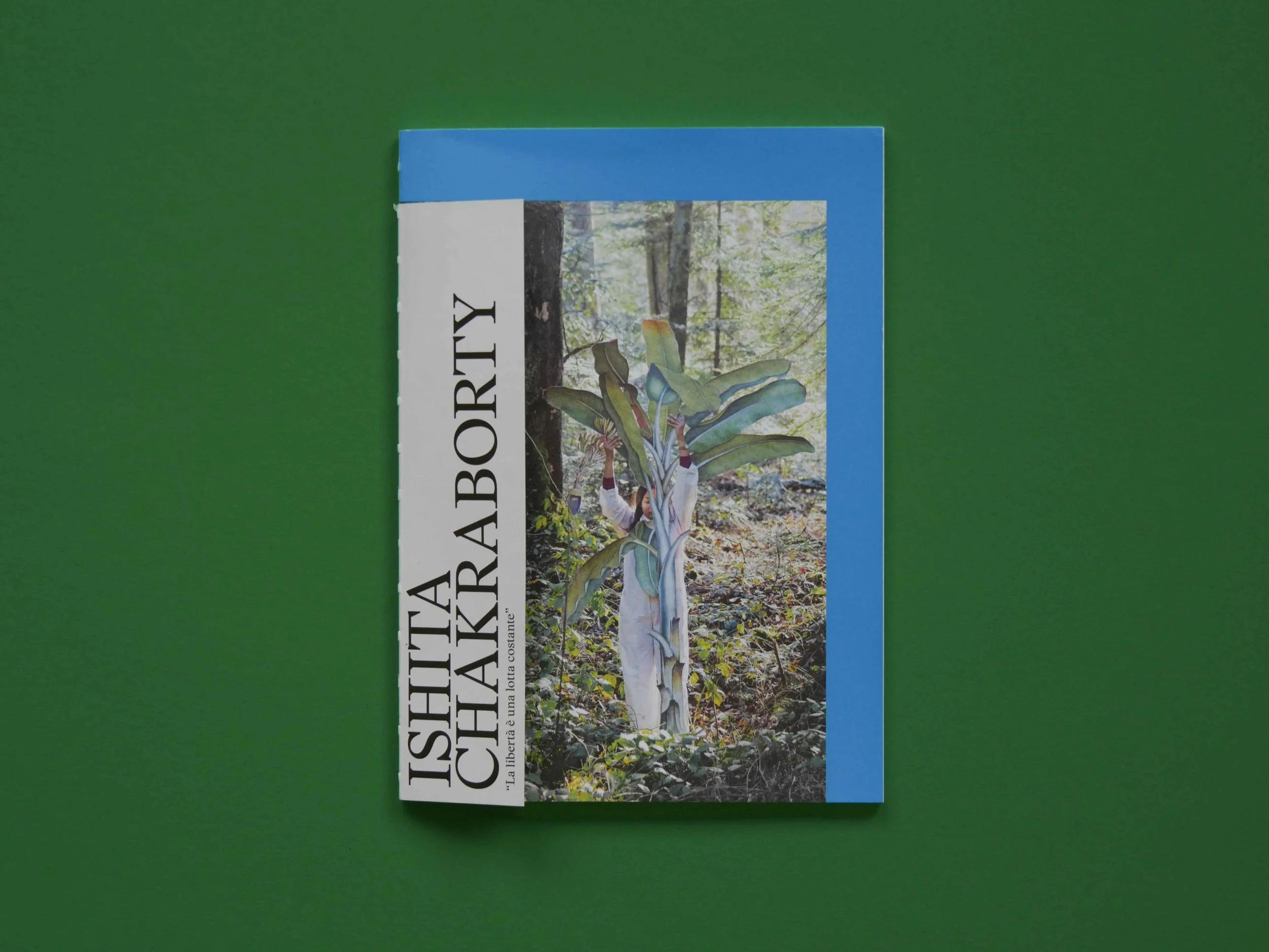 Catalogue Ishita Chakraborty, Vincenzo Vela, Mendrisio, BAK