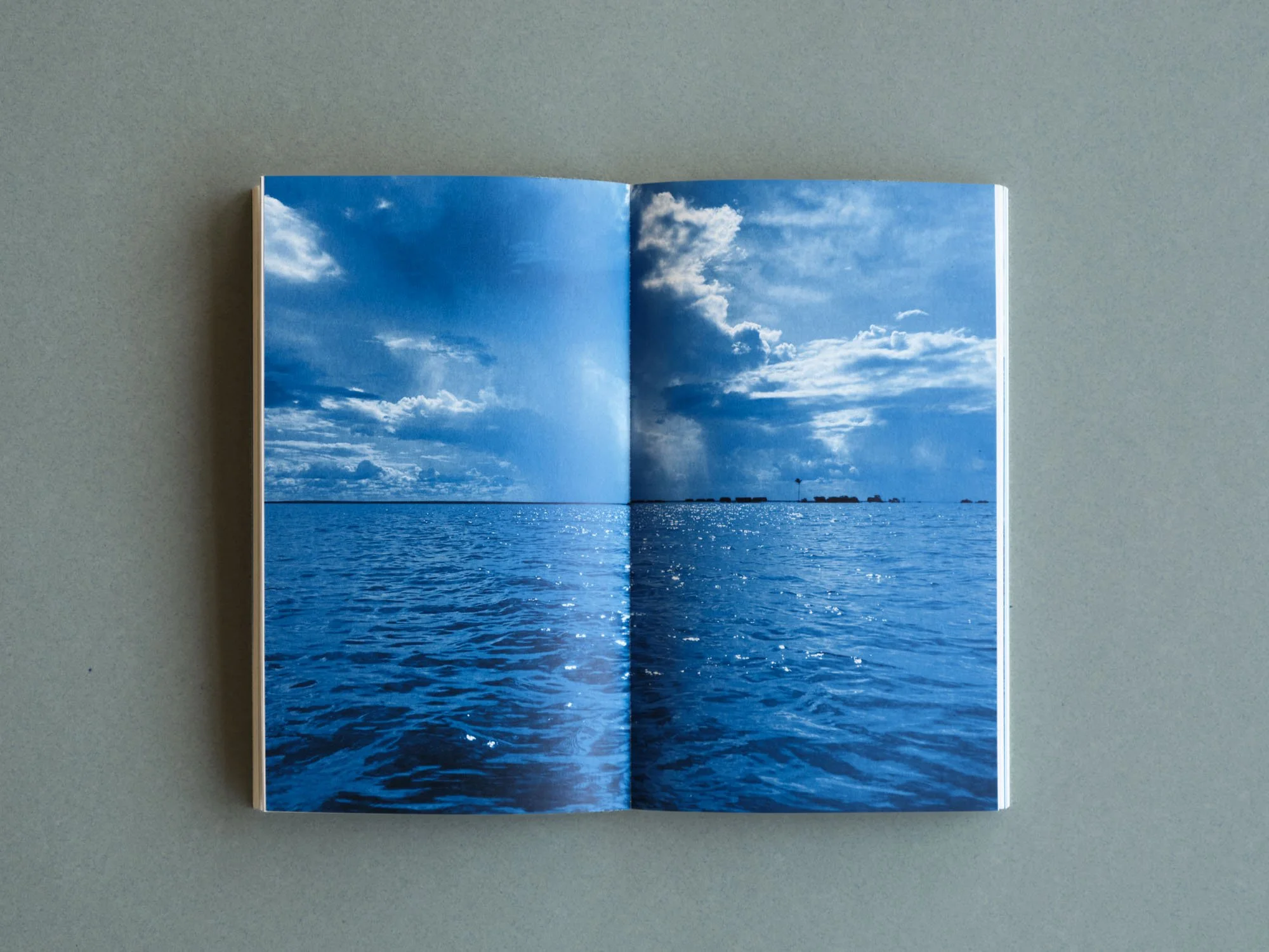 Ishita Chakraborty_Book Publications_Low-Res-18.jpg