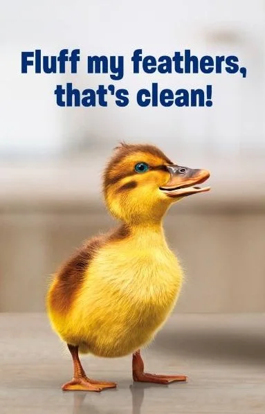 介绍一款我最爱用的洗洁精