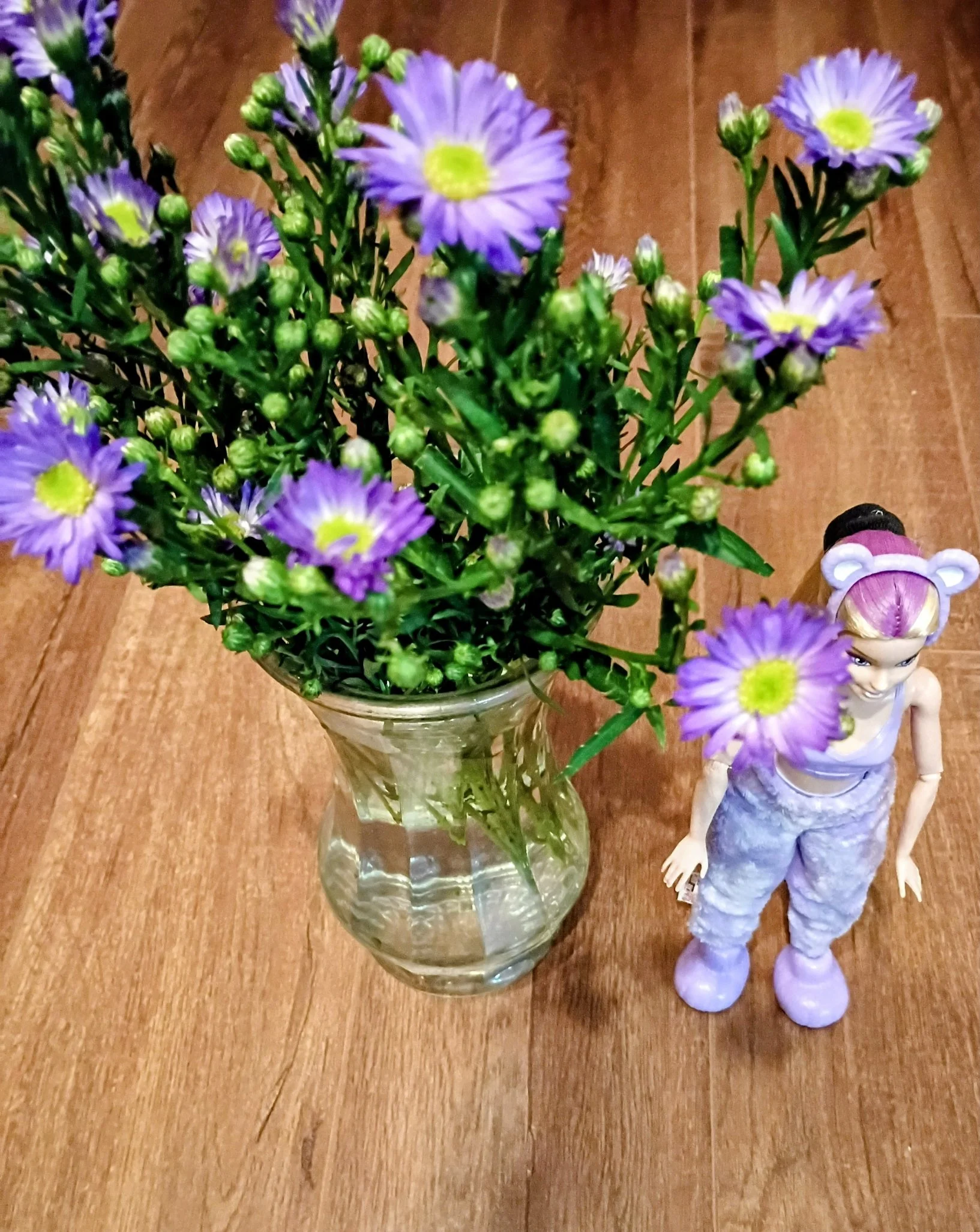 紫色小雏菊