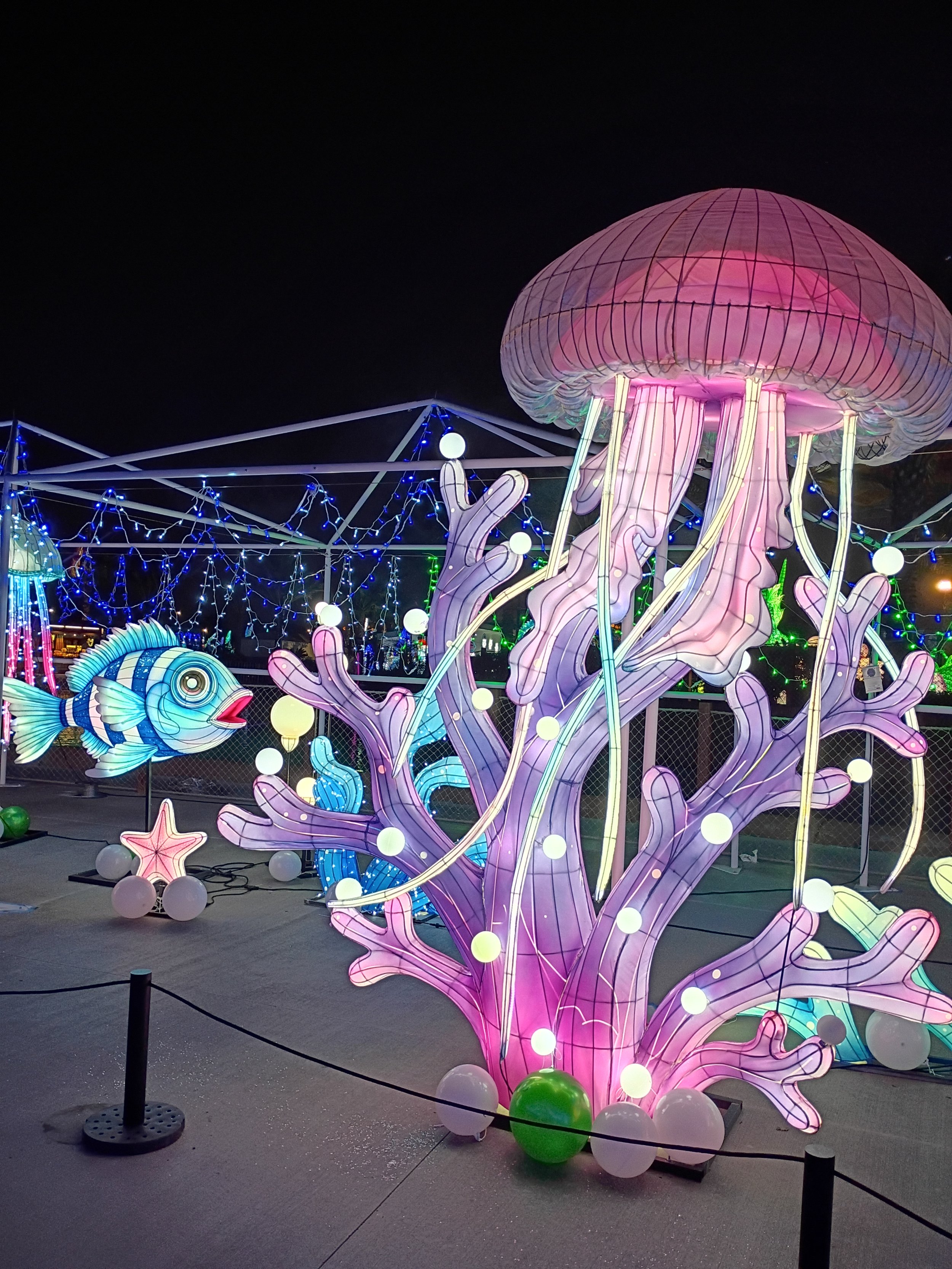 鱿鱼🦑章鱼🐙水母系列 Dream Glow Festival