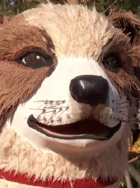 回味135th 136th Rose Parade