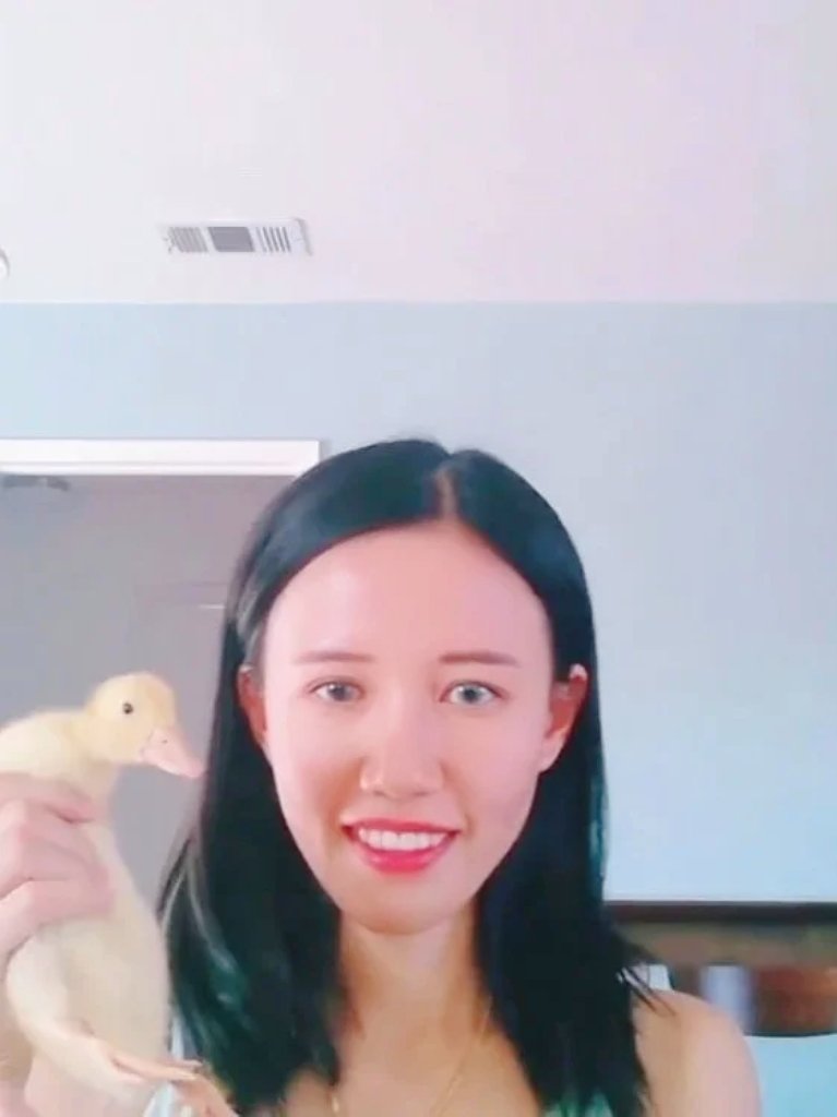 油管上居然也有只叫豆芽的鸭子