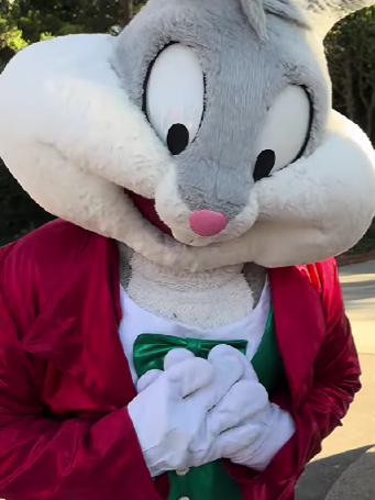 六旗魔术山Looney Tunes Land