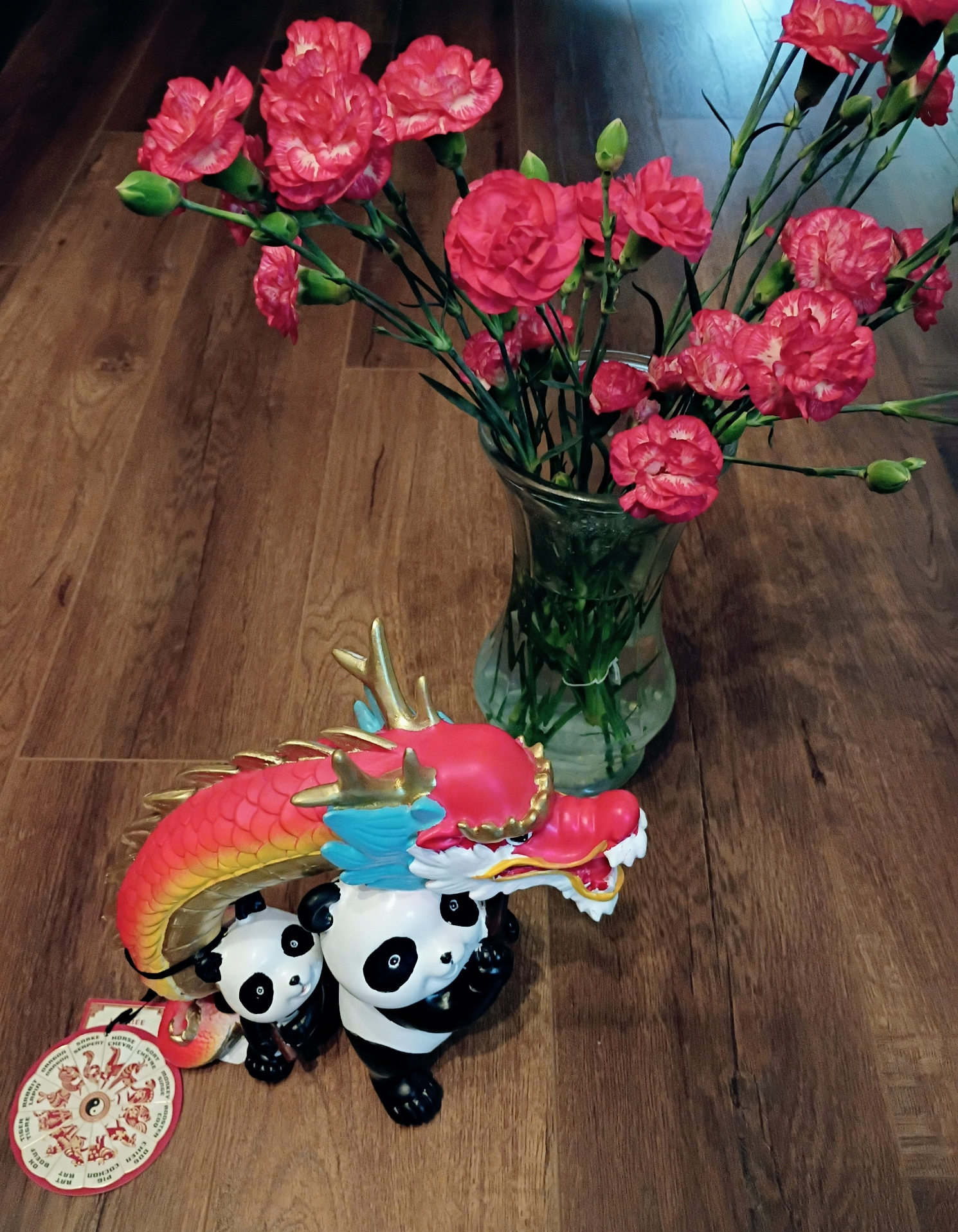 把小奇迹带回家啦