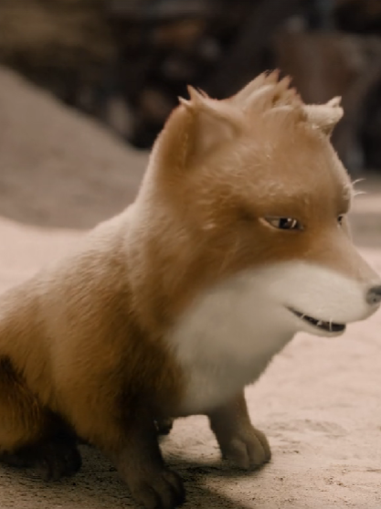 天地剑心的可爱沙狐🦊