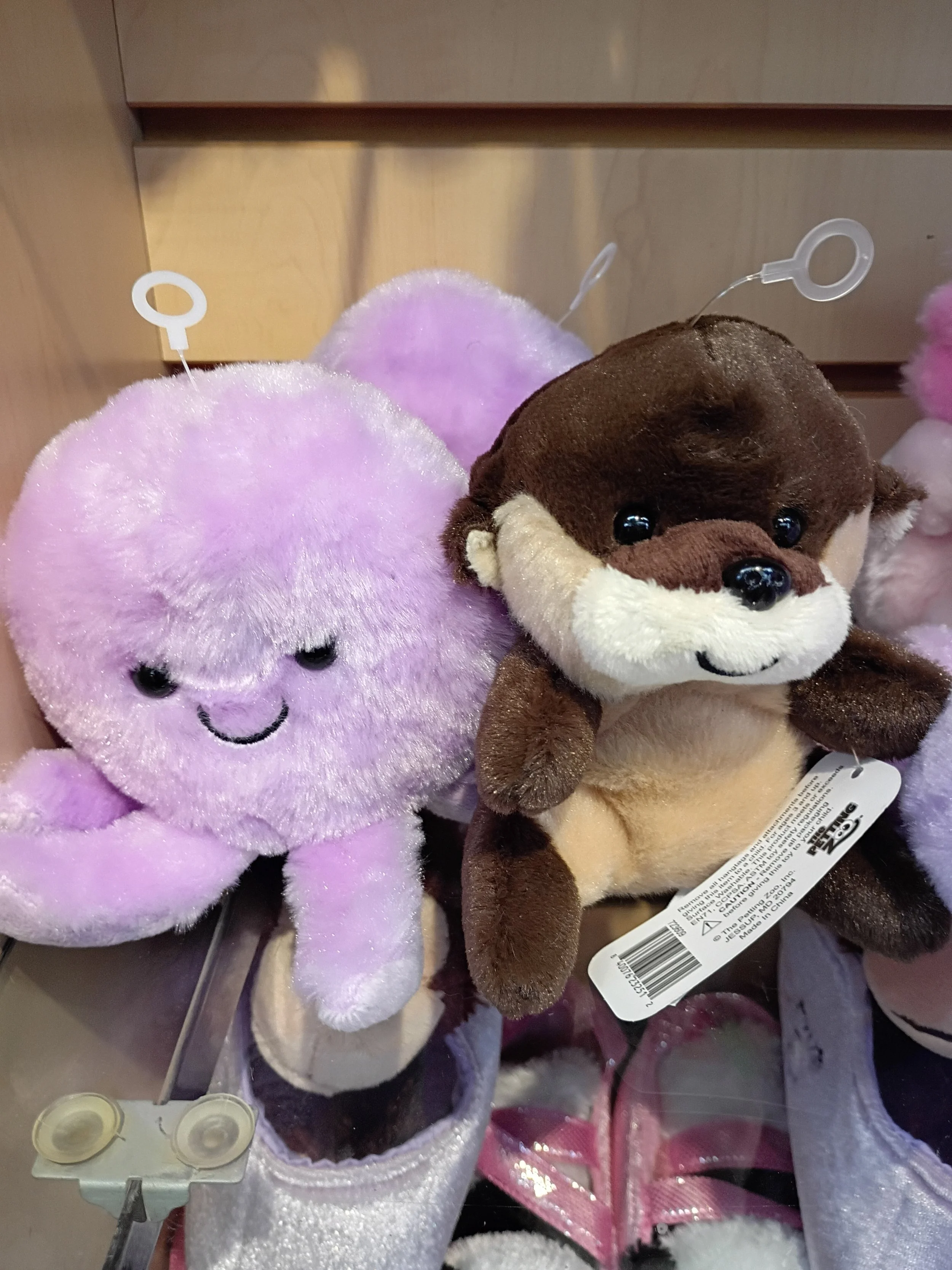 Santa Ana动物园（1）