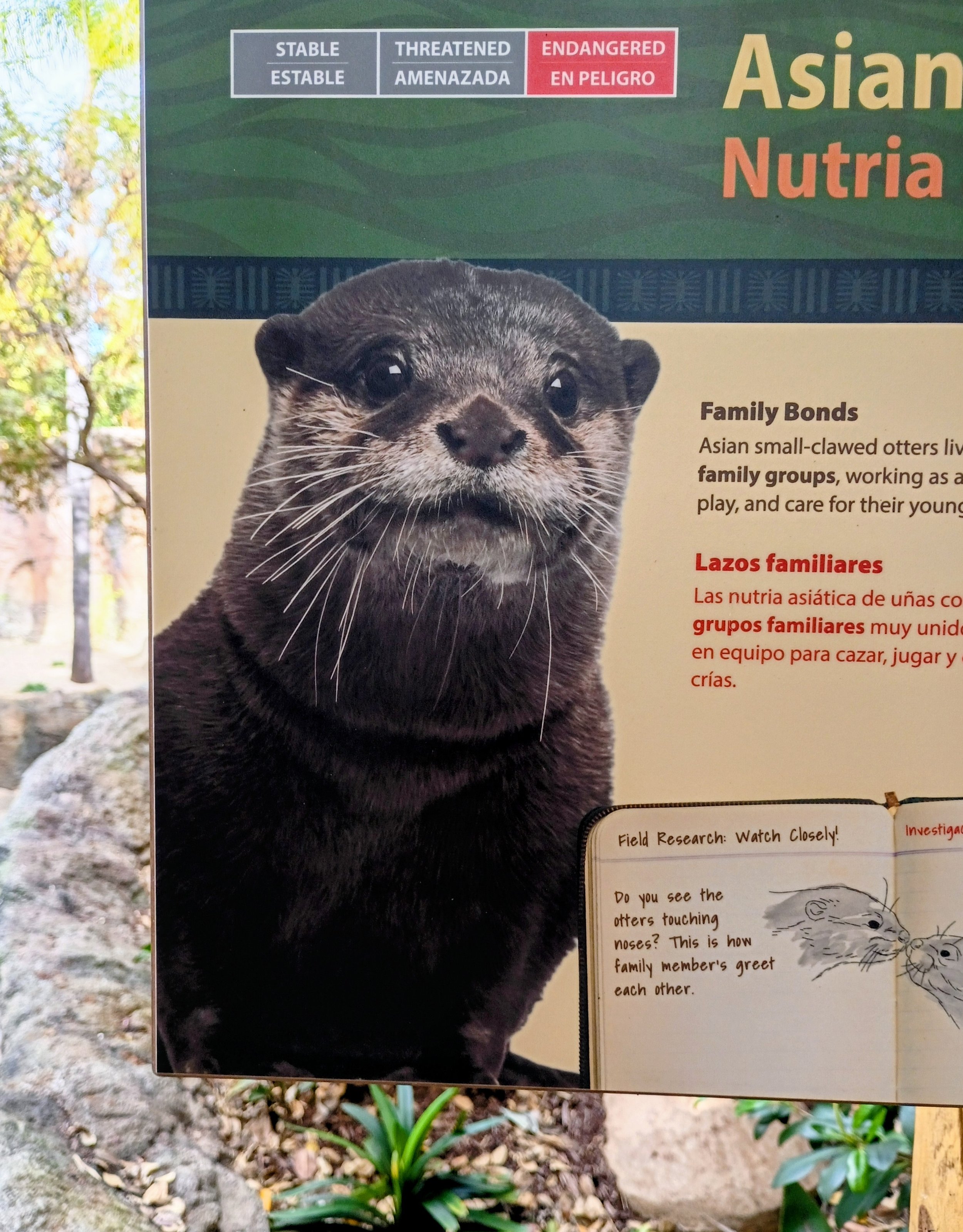 Santa Ana动物园（3）River's Edge开业