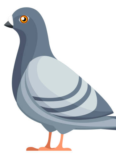 老歌 重来好不好【鸽子】