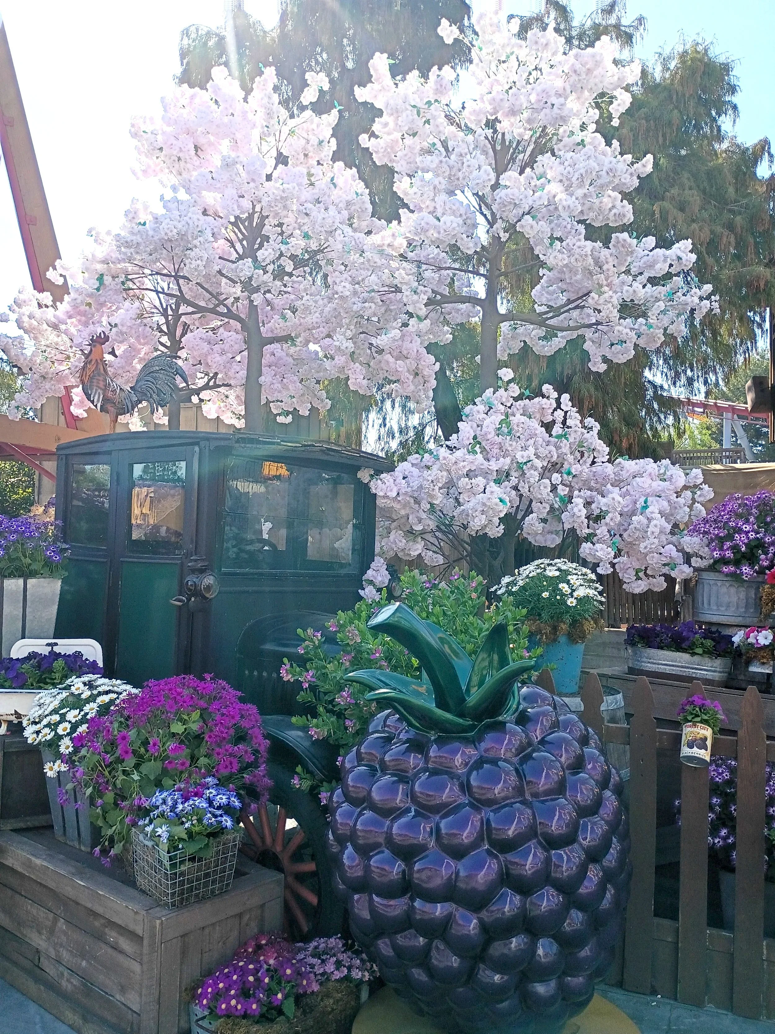 Knott’s Berry Farms Boysenberry Festival