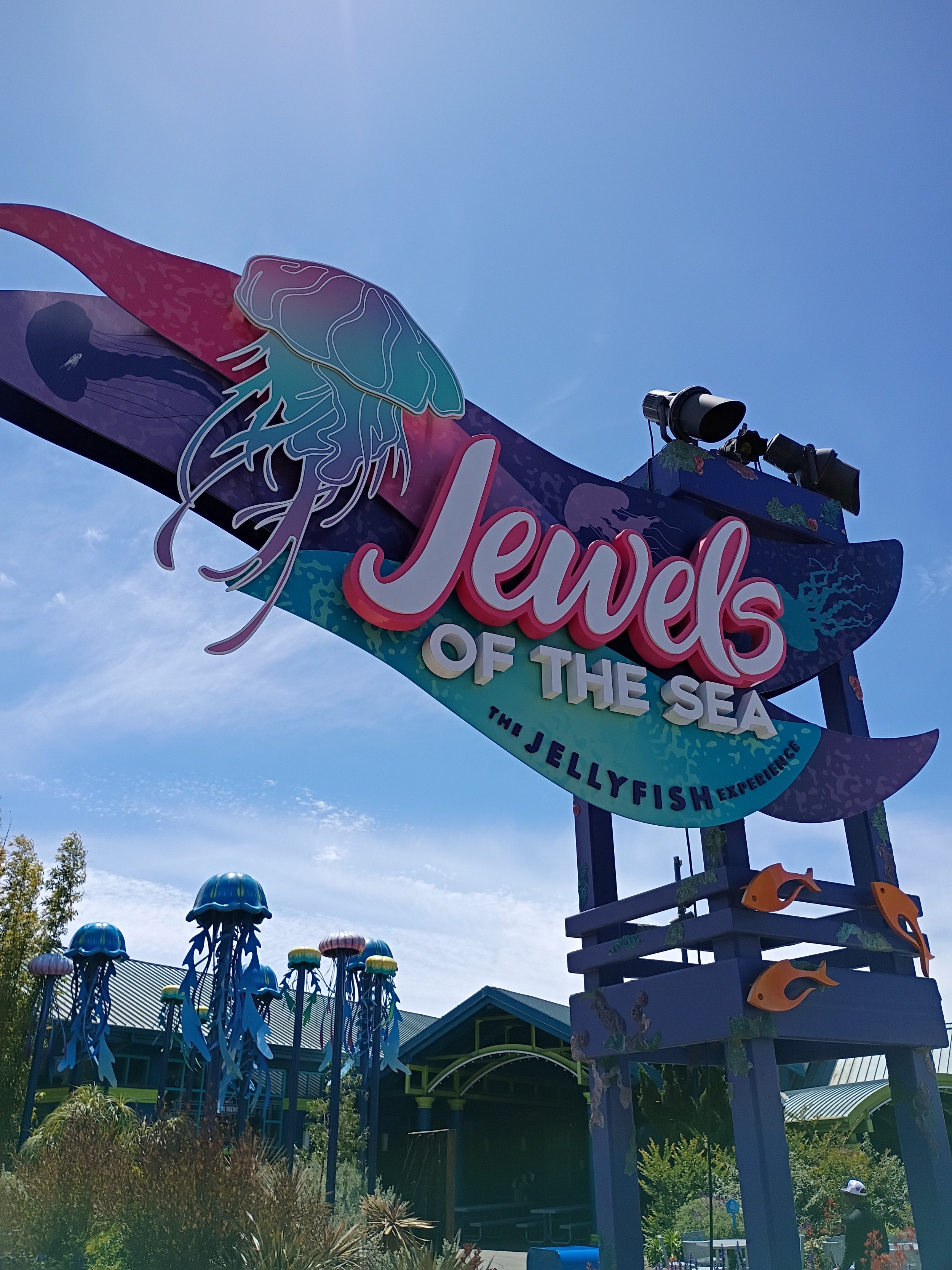 水母馆开张了！'Jewels of the Sea: A Jellyfish Experience'