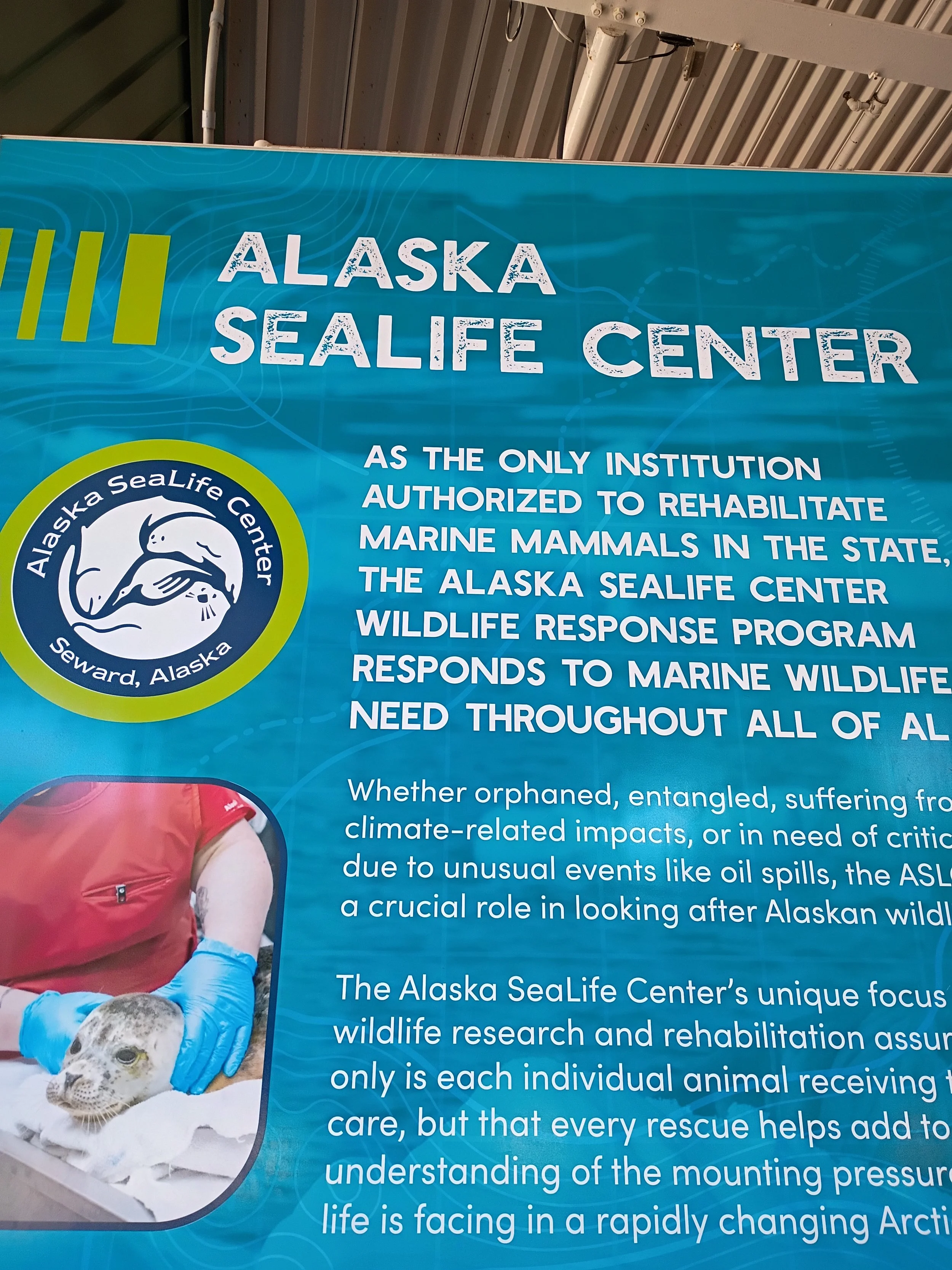 海洋世界 阿拉斯加乖宝宝篇