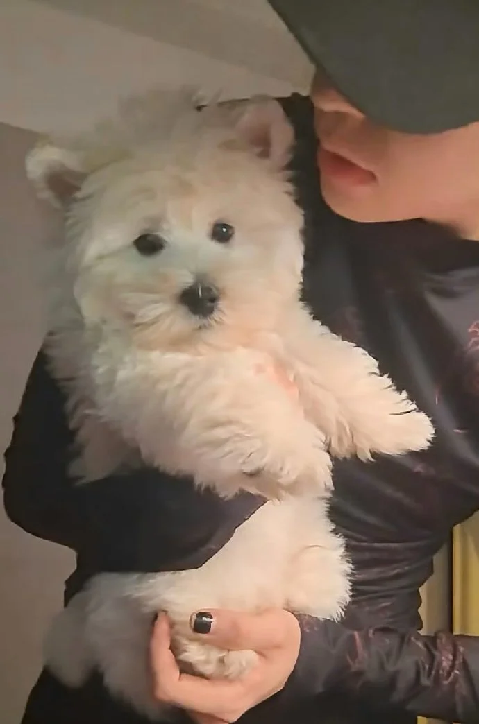 听音乐🎵