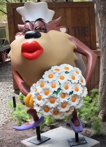 六旗魔术山  Taz's Tasmanian Train Tours