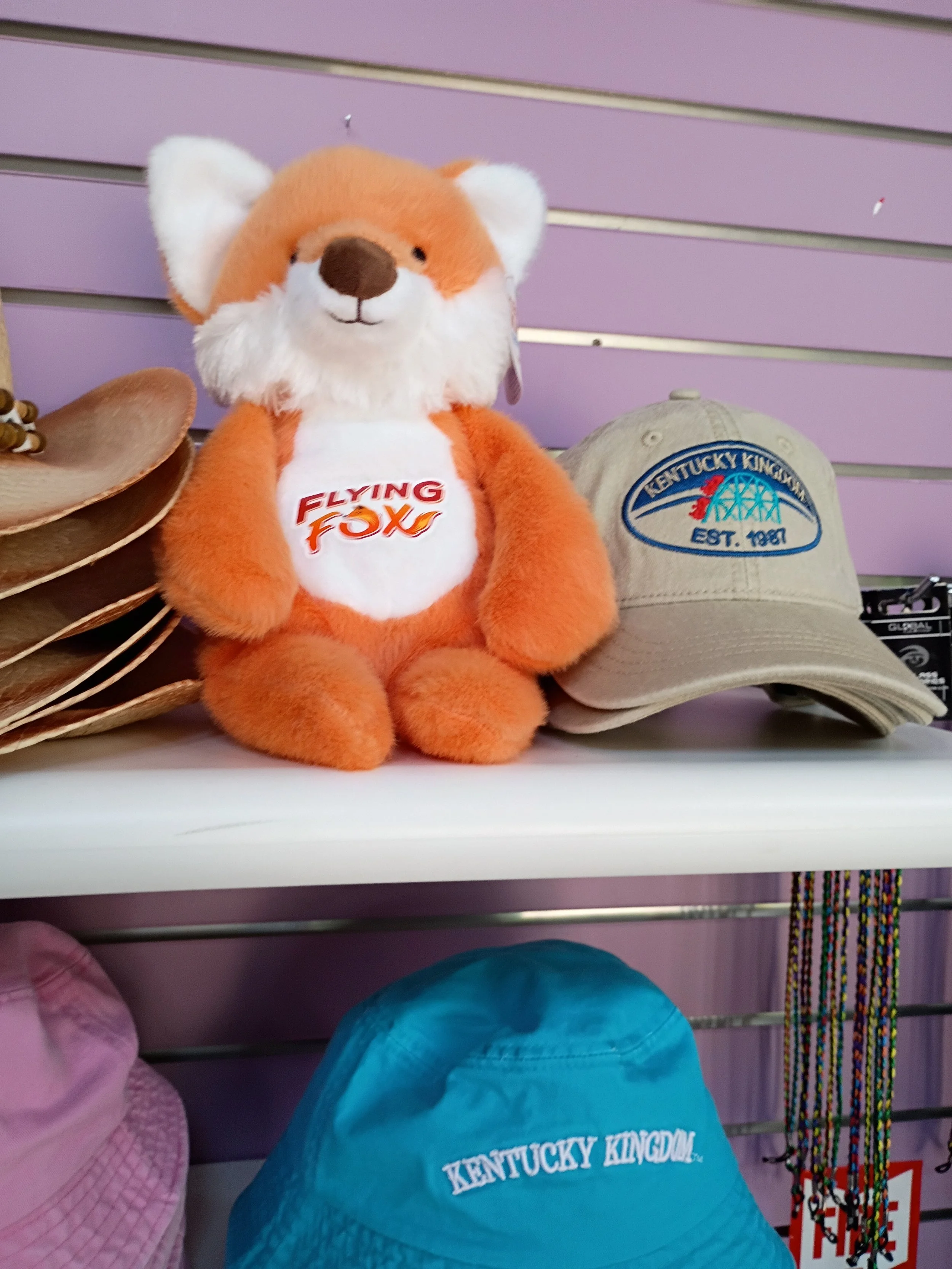 Kentucky Kingdom|Flying Fox