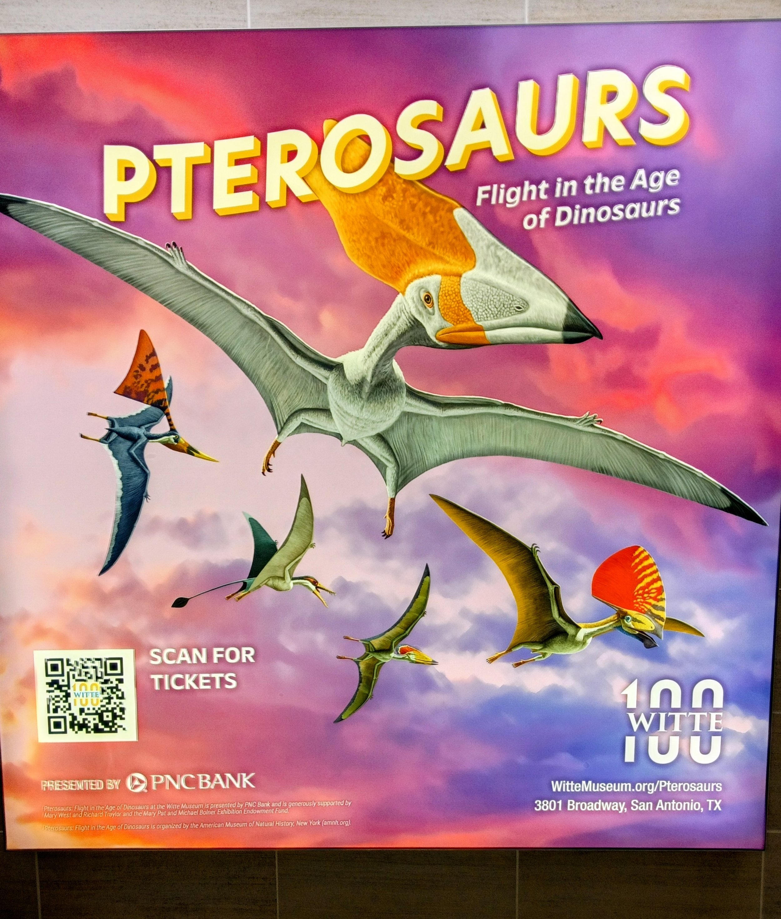 机场看见滴广告"Pterosaurs: Flight in the Age of Dinosaurs" exhibition 