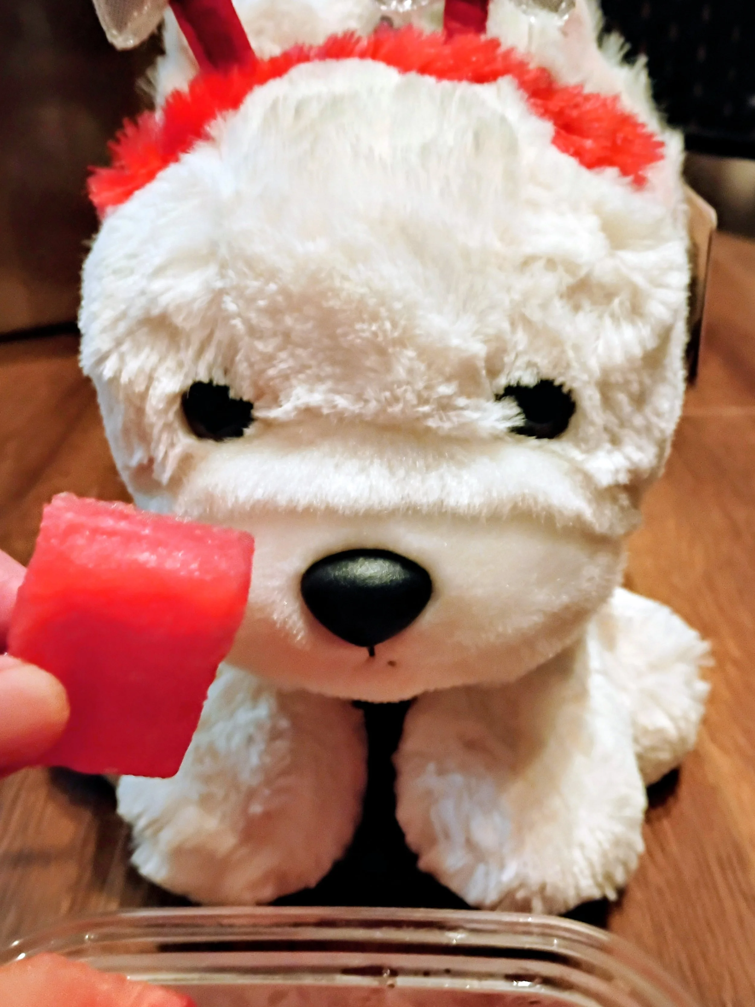 在Ralphs看见🍉我就想起~~