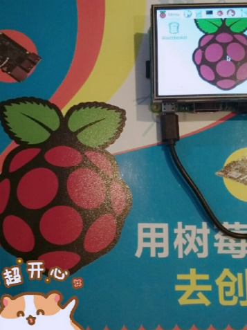 2017年 我和龟龟/树莓的存档