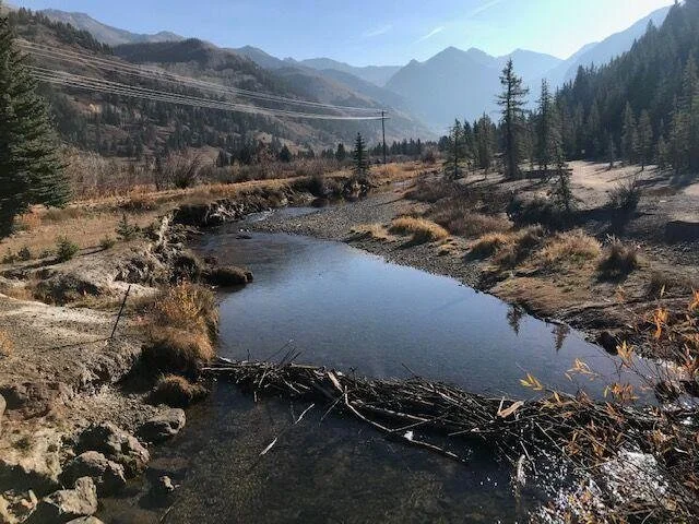 EPA Boomerang tailings removal project underway