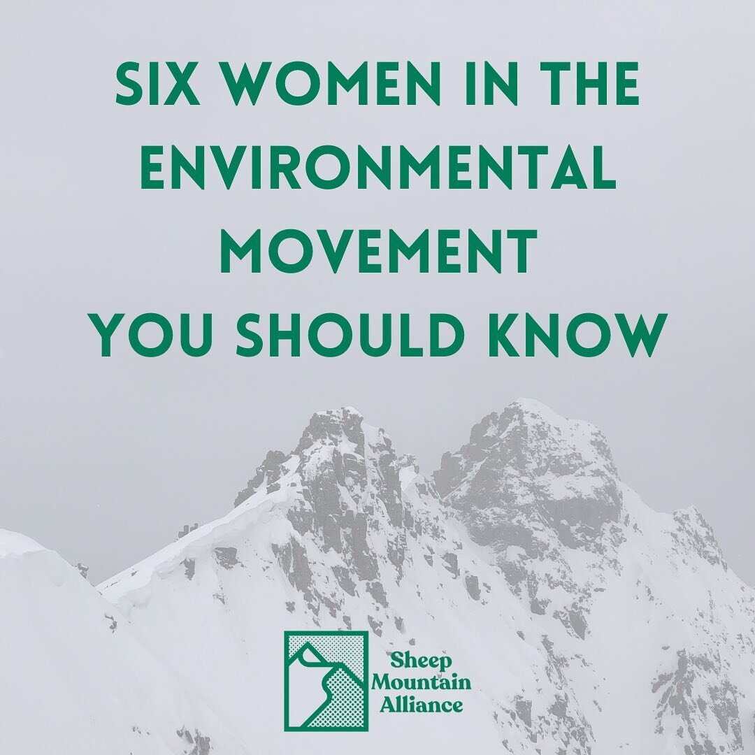 In honor of #WomensHistoryMonth check out these six women who are making history in the environmental movement.