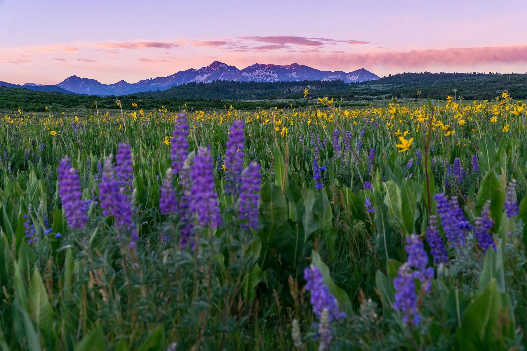 Colorado Public Lands Day